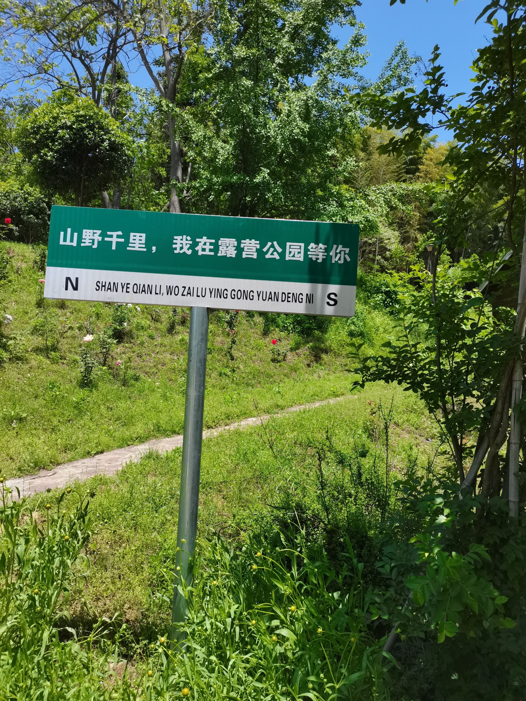 大别山露营公园旅行图片 3