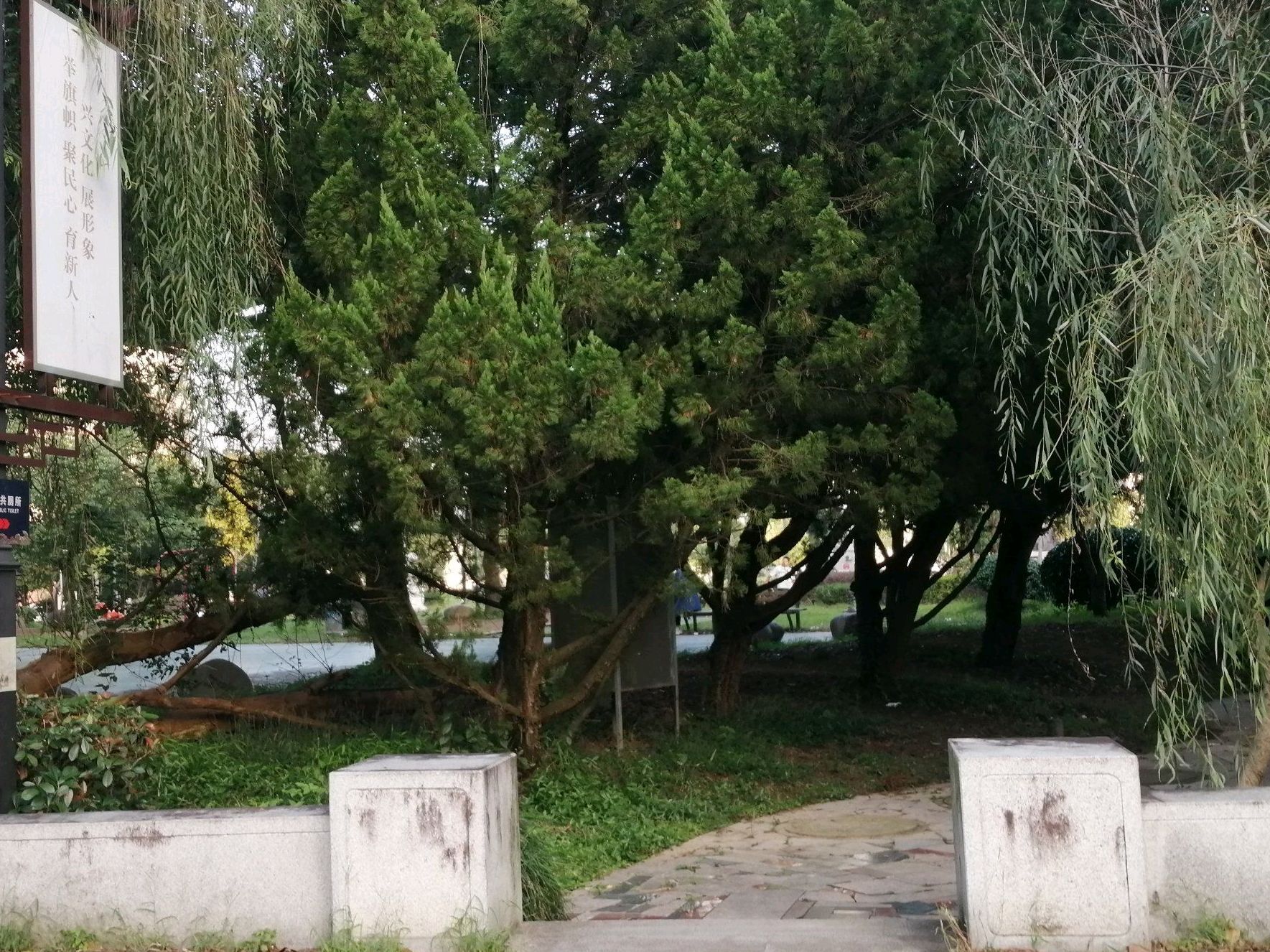 大田刘公园旅行图片 2