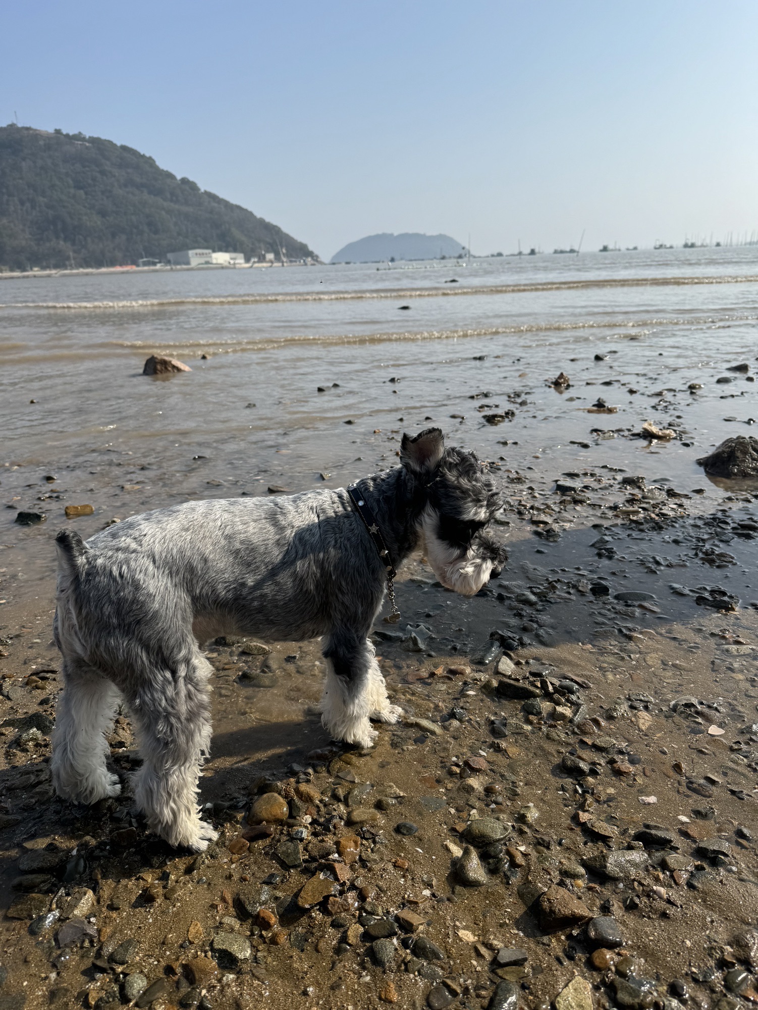 小皓海滩旅行图片 2