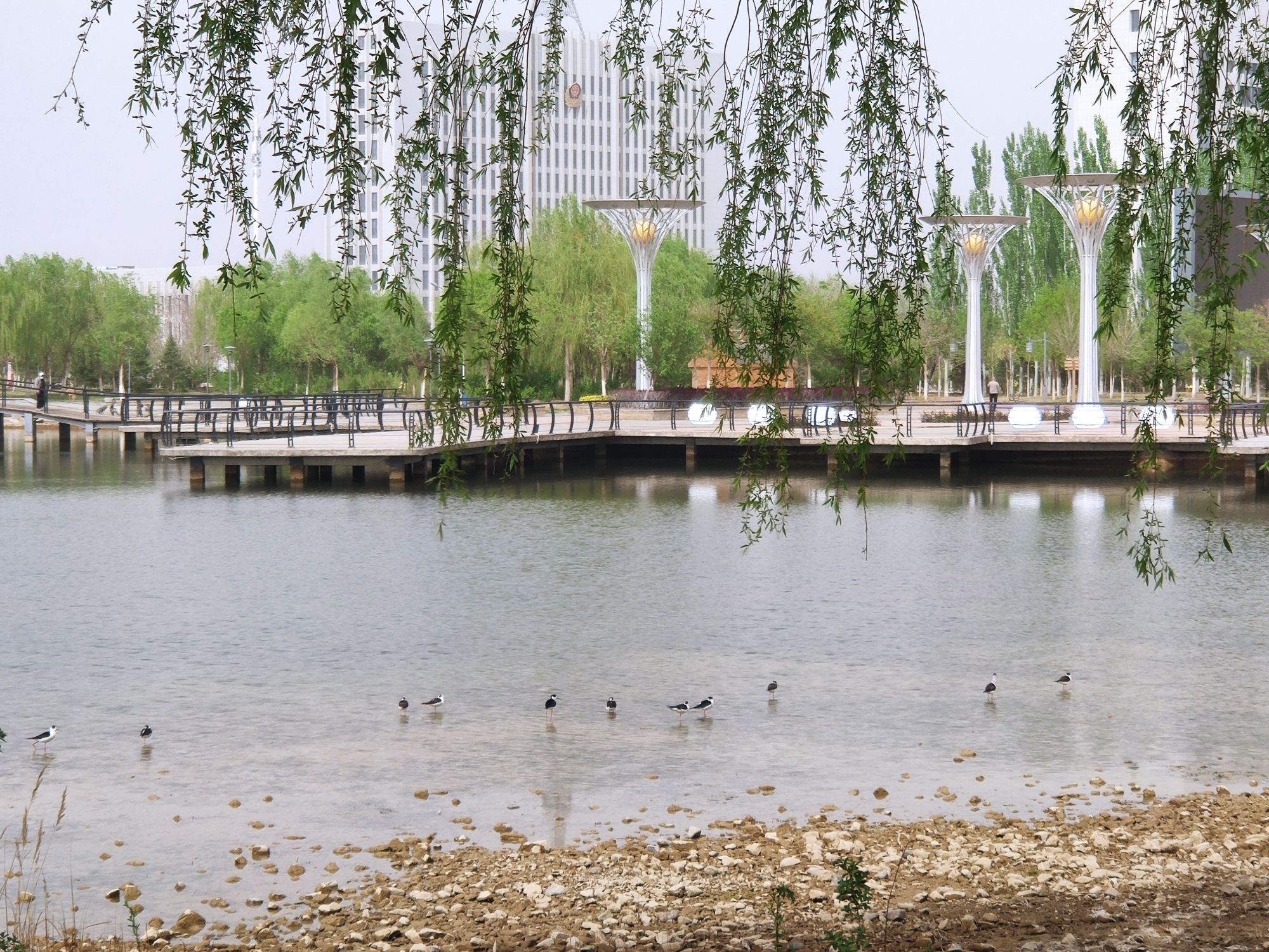 龙首湖