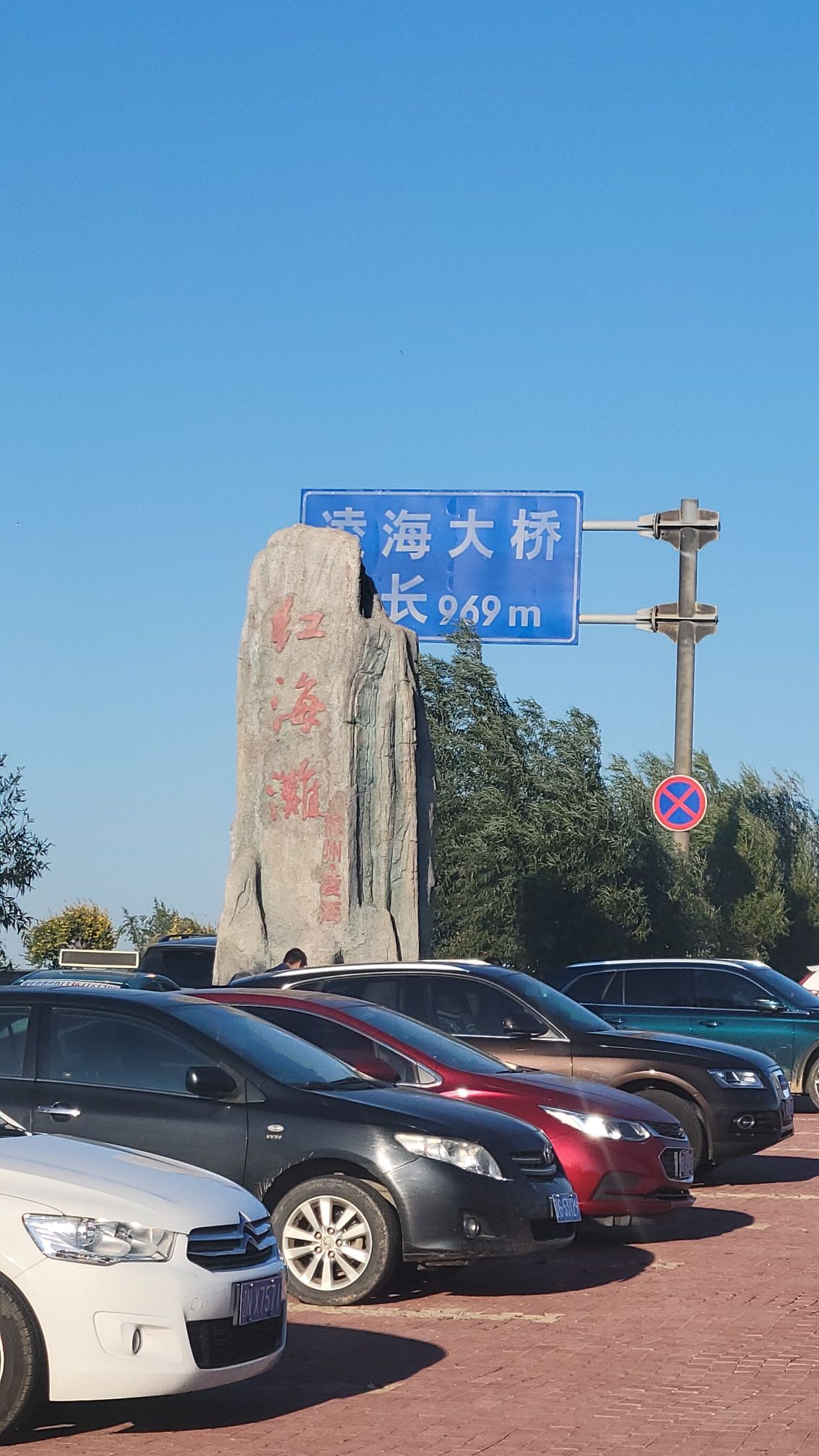 锦州凌海红海滩旅行图片 1
