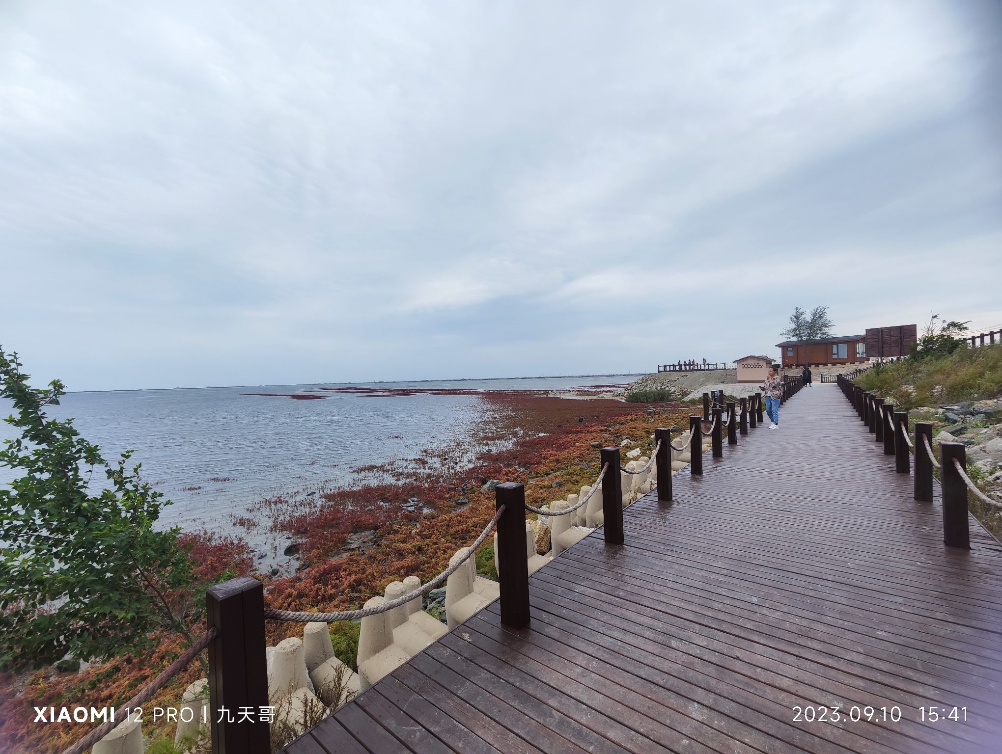 锦州凌海红海滩旅行图片 1