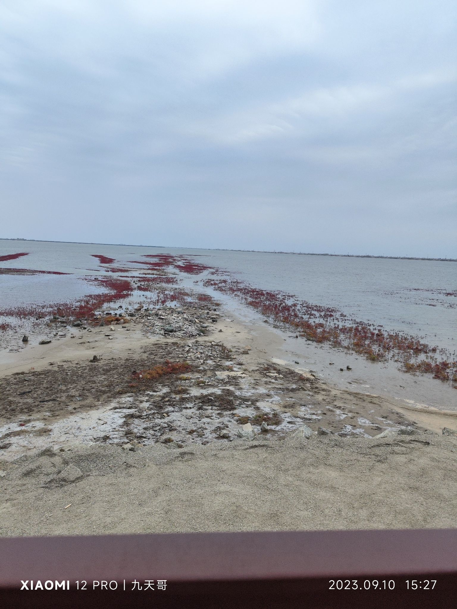 锦州凌海红海滩旅行图片 2