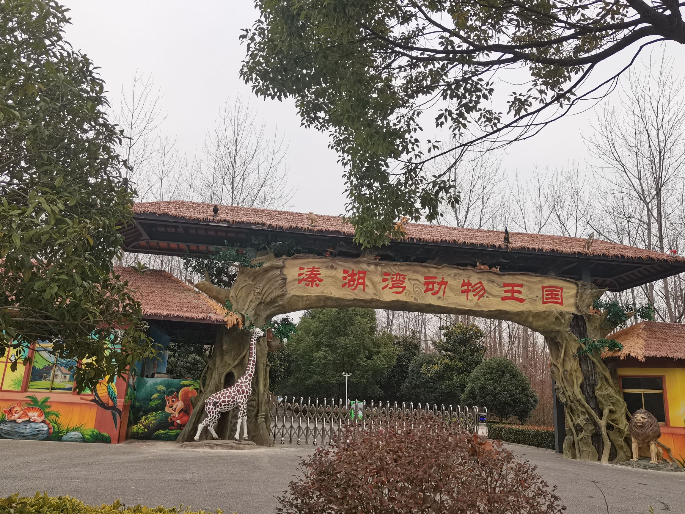 溱湖湾森林动物王国旅行图片 2