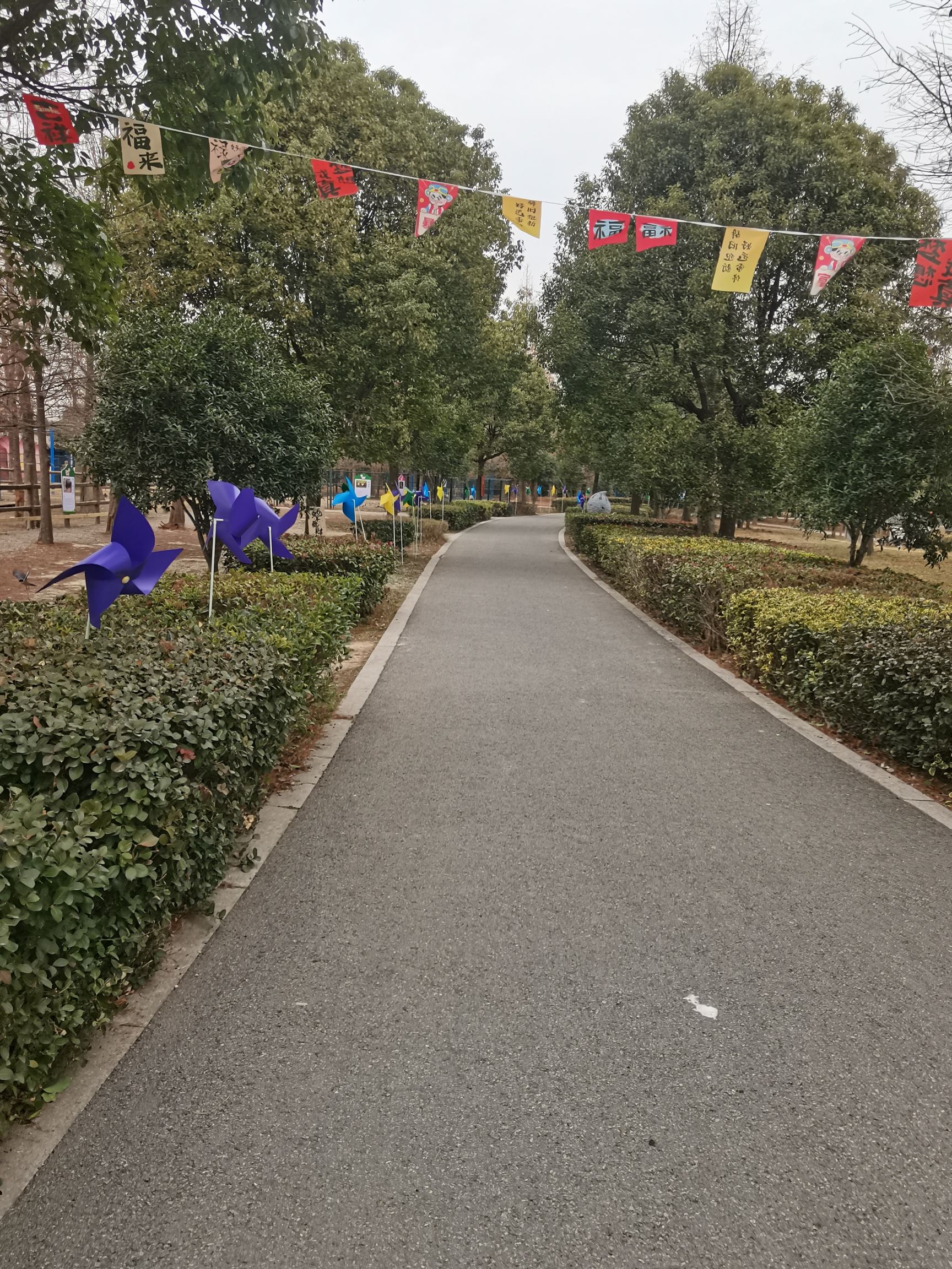 溱湖湾森林动物王国旅行图片 3