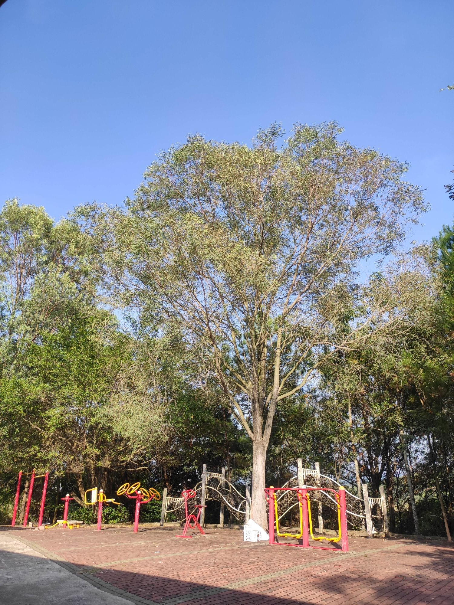 丁堡山背体育公园旅行图片 1