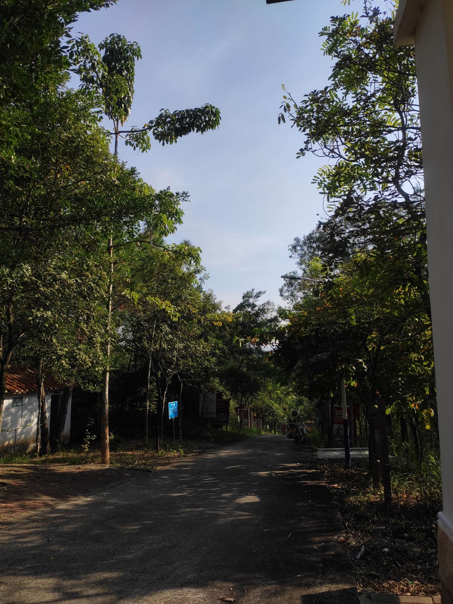 丁堡山背体育公园旅行图片 2