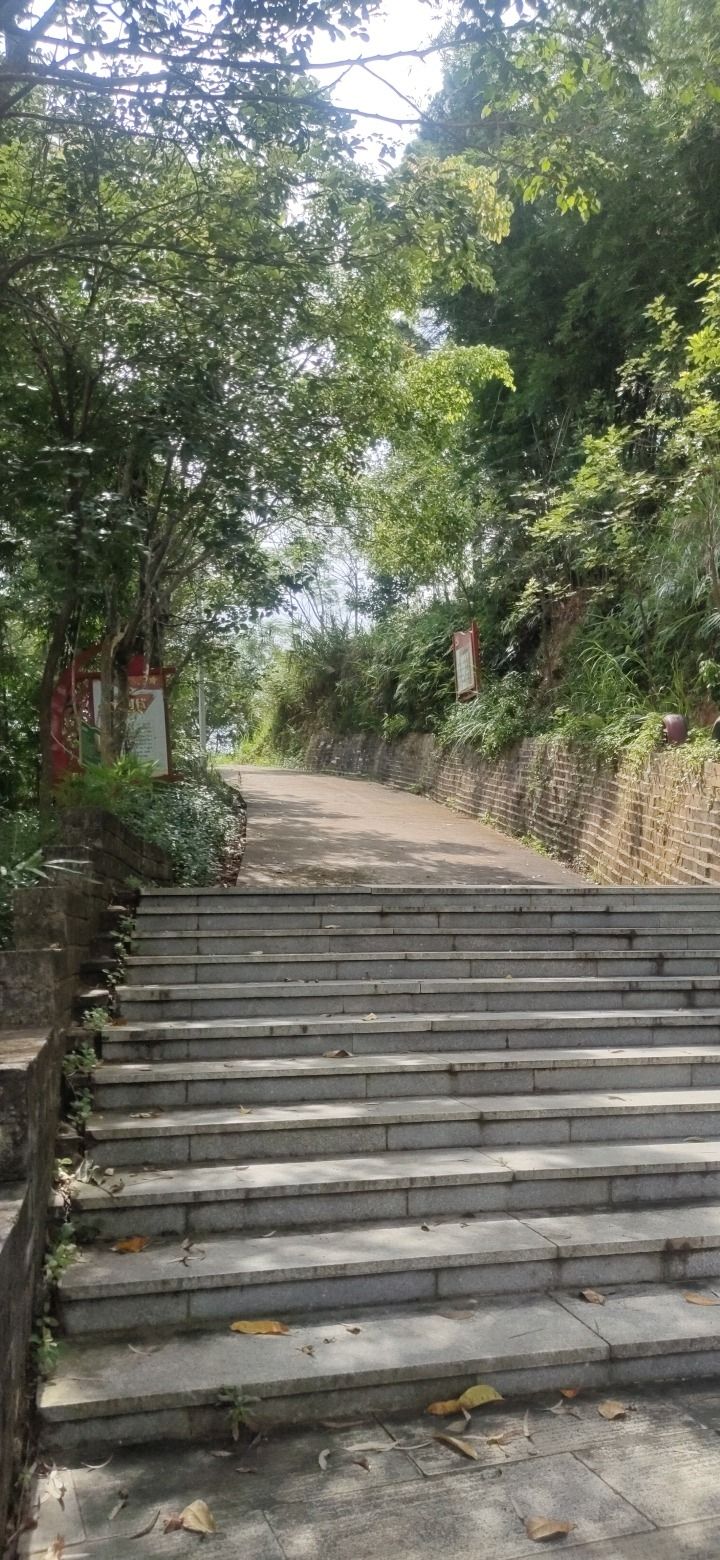 丁堡山背体育公园旅行图片 1