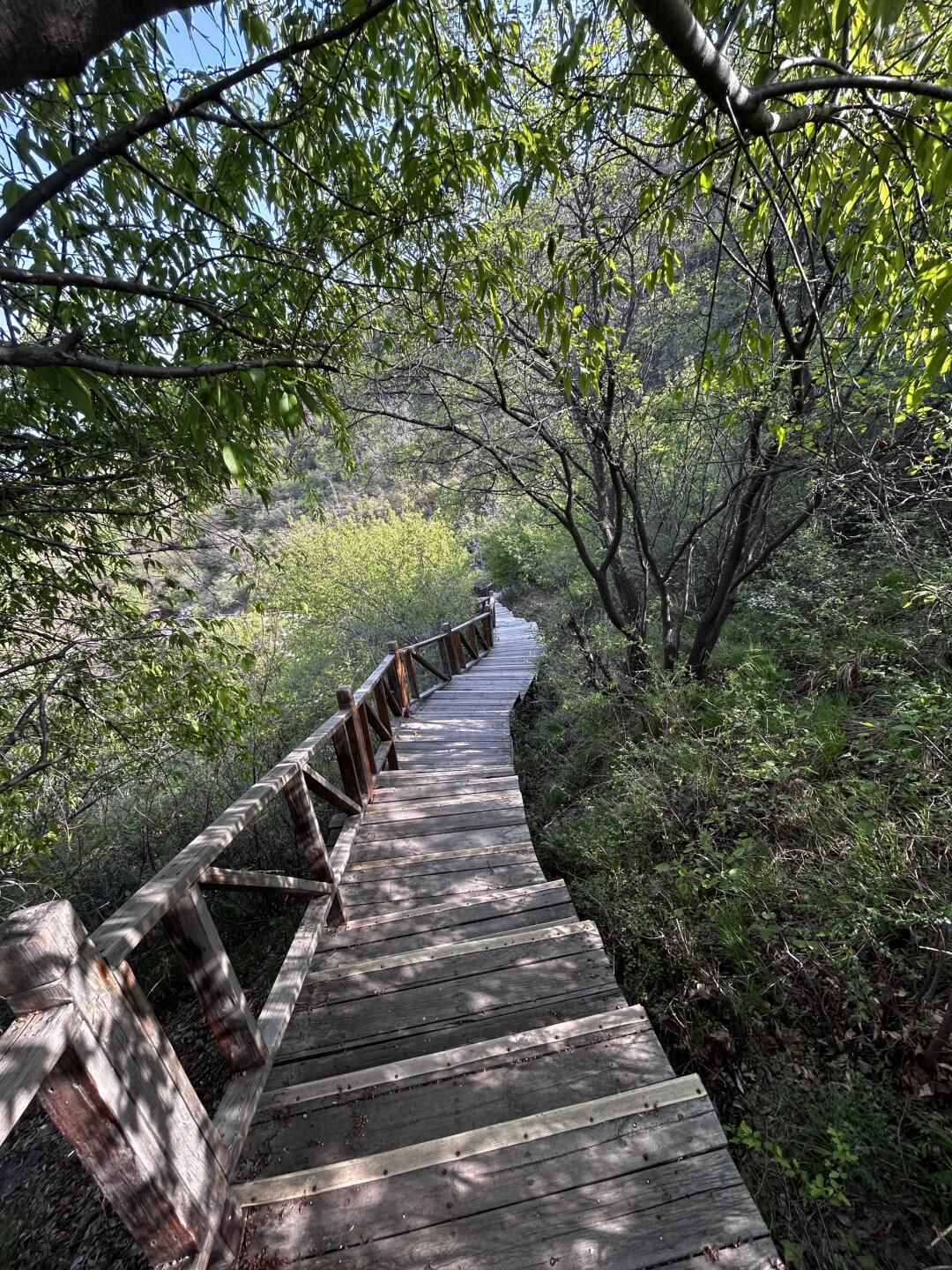 平山红崖谷景区旅行图片 3