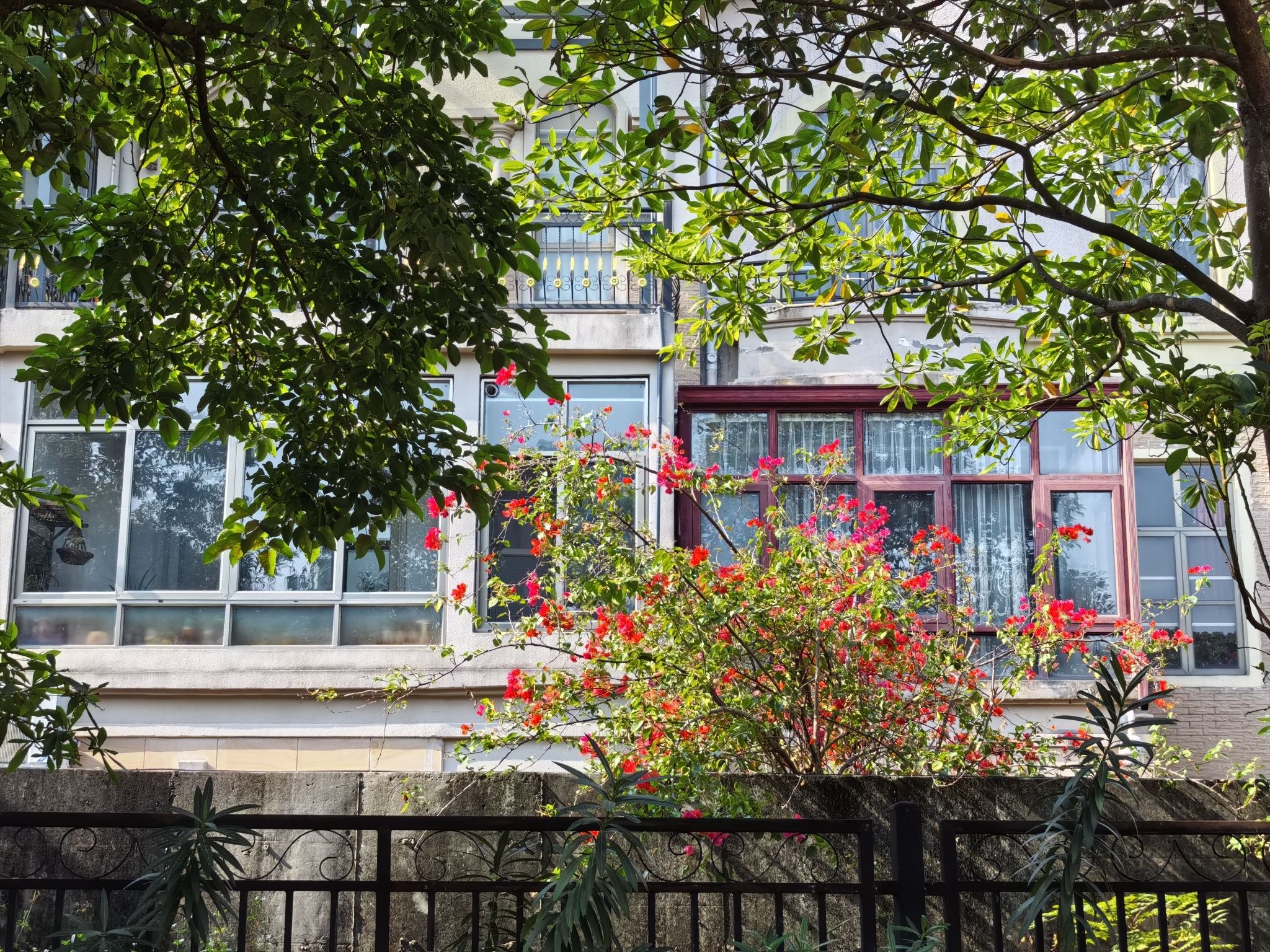 桃花湖公园旅行图片 3