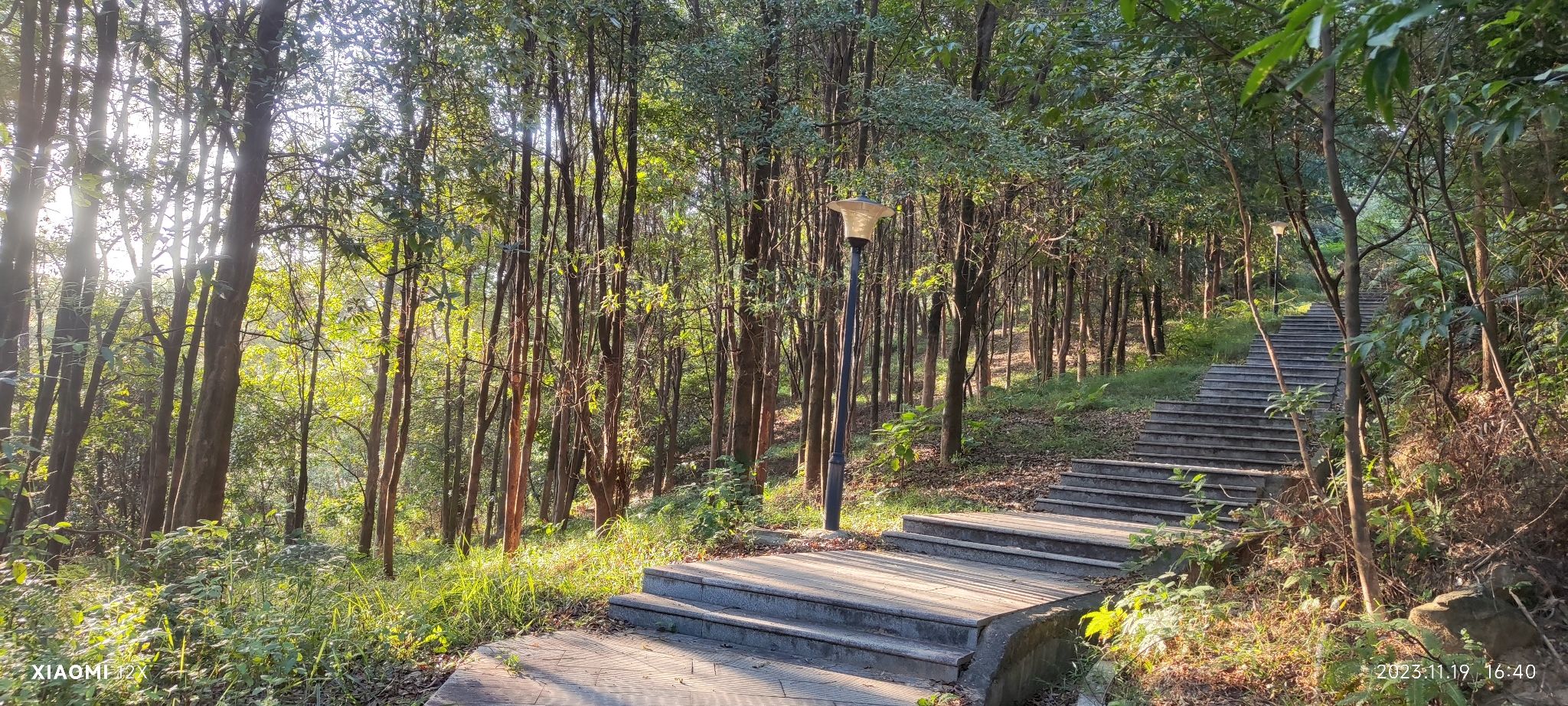 席帽山森林公园旅行图片 3