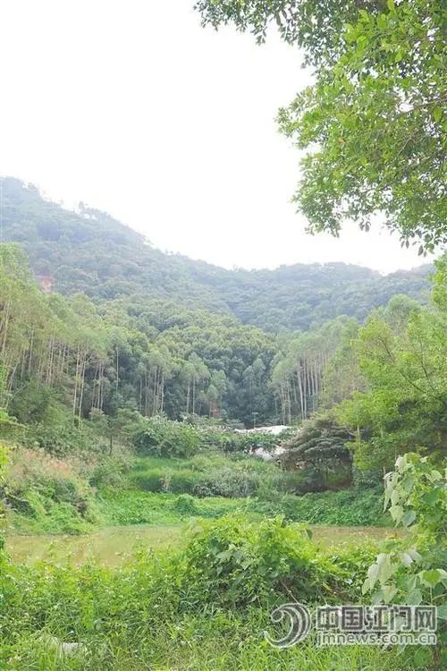 席帽山森林公园旅行图片 2