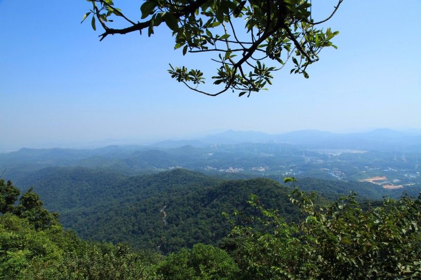 席帽山森林公园旅行图片 1