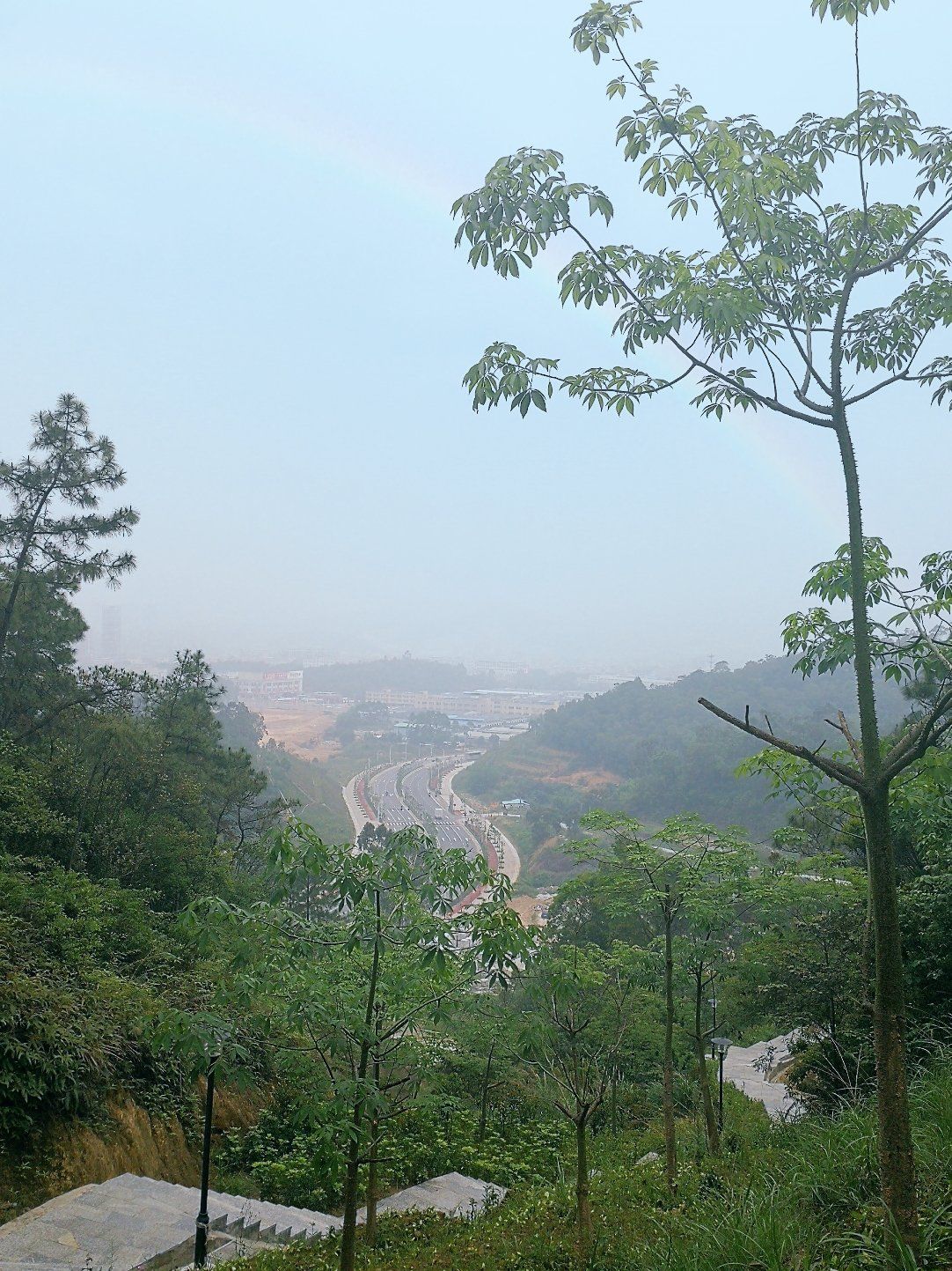 席帽山森林公园旅行图片 3