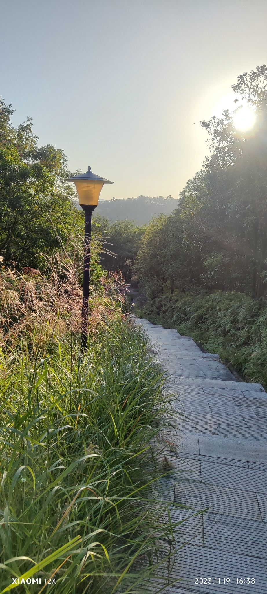 席帽山森林公园旅行图片 2