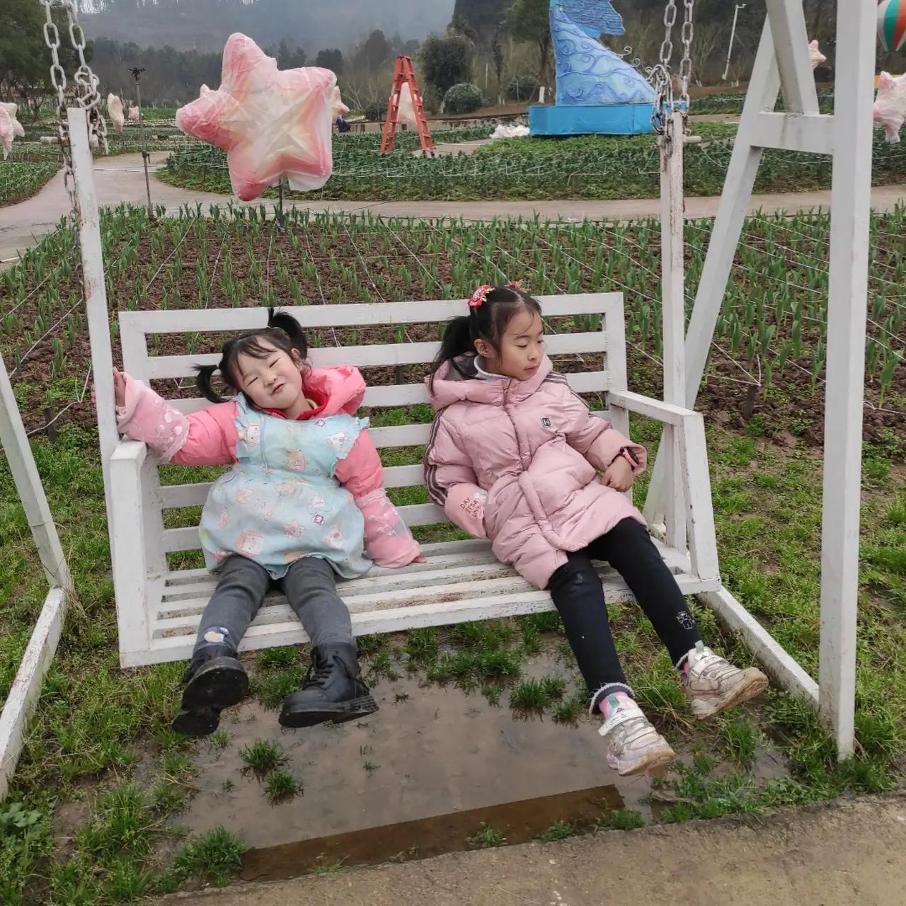 银城花海旅行图片 1