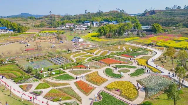 银城花海旅行图片 1