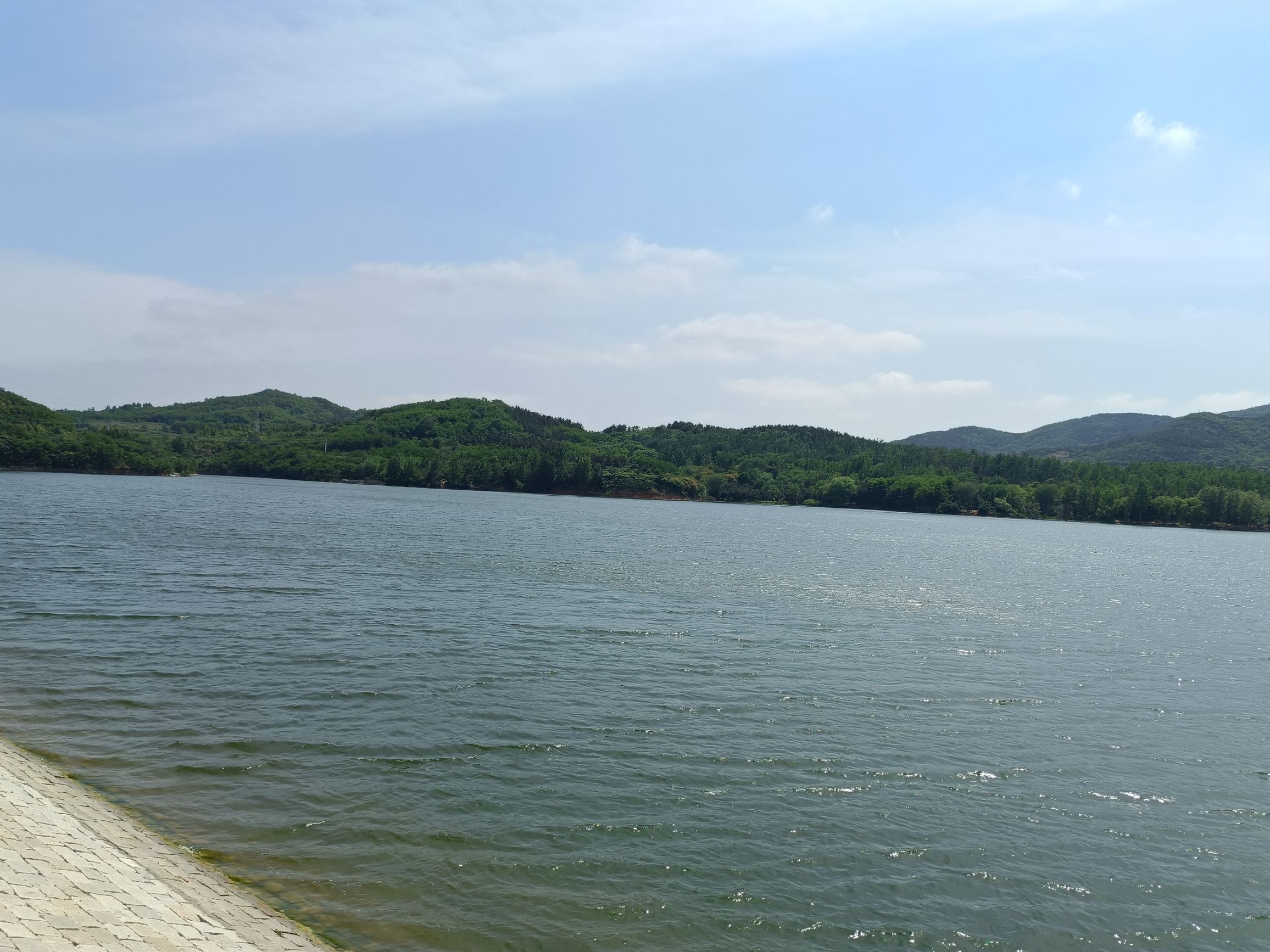 龙王湖公园旅行图片 3