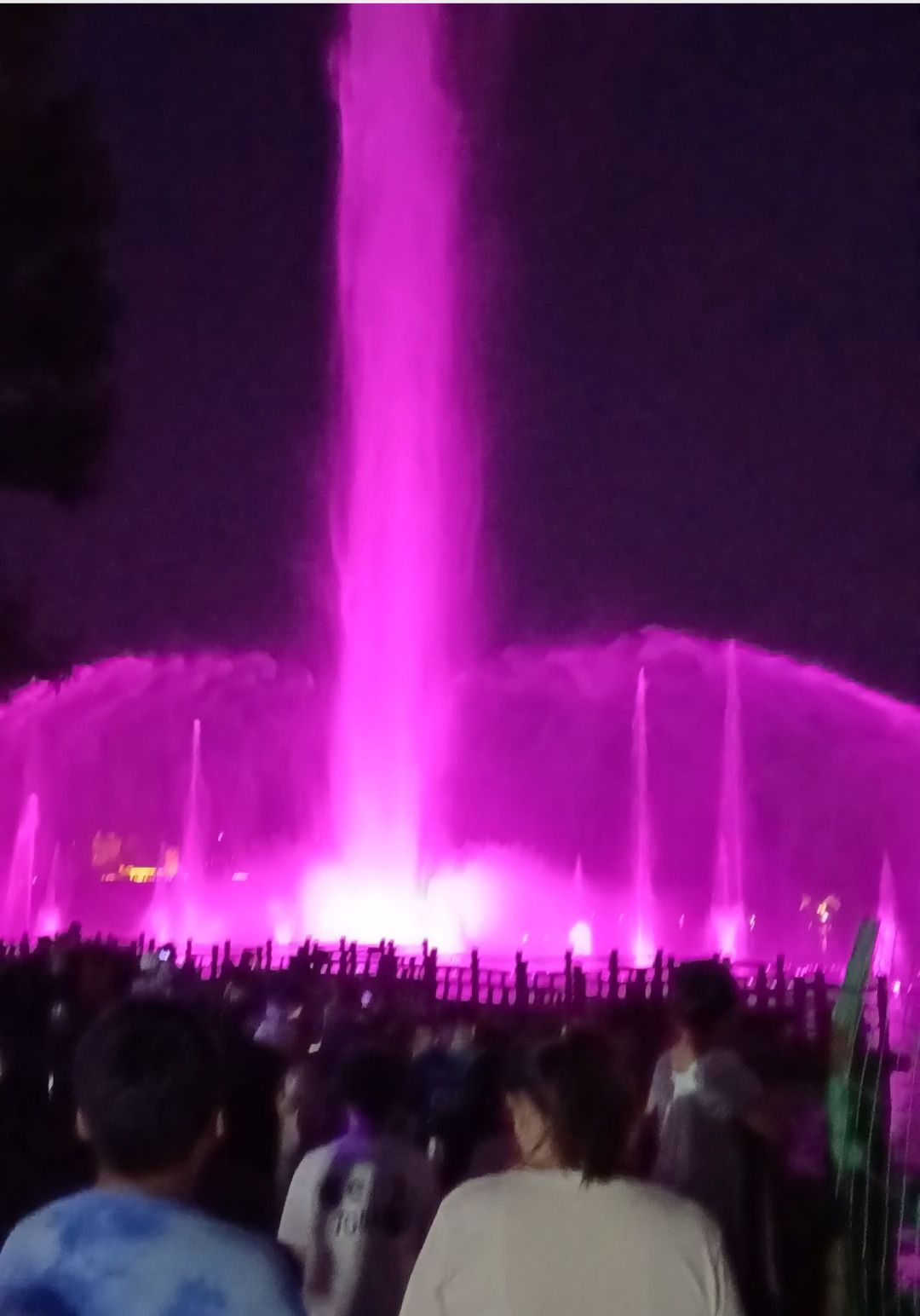 龙王湖公园旅行图片 3