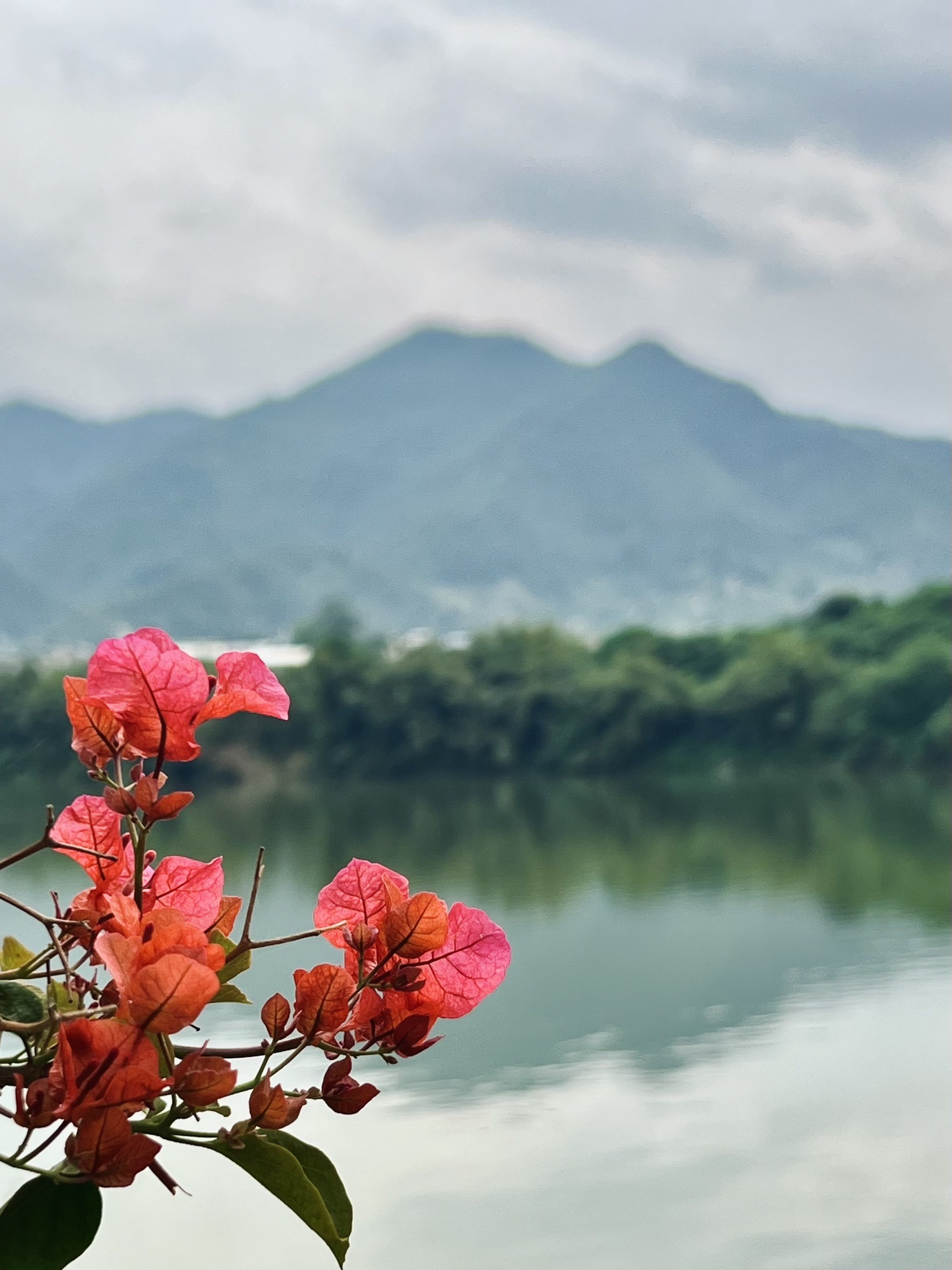 松口古镇旅行图片 1