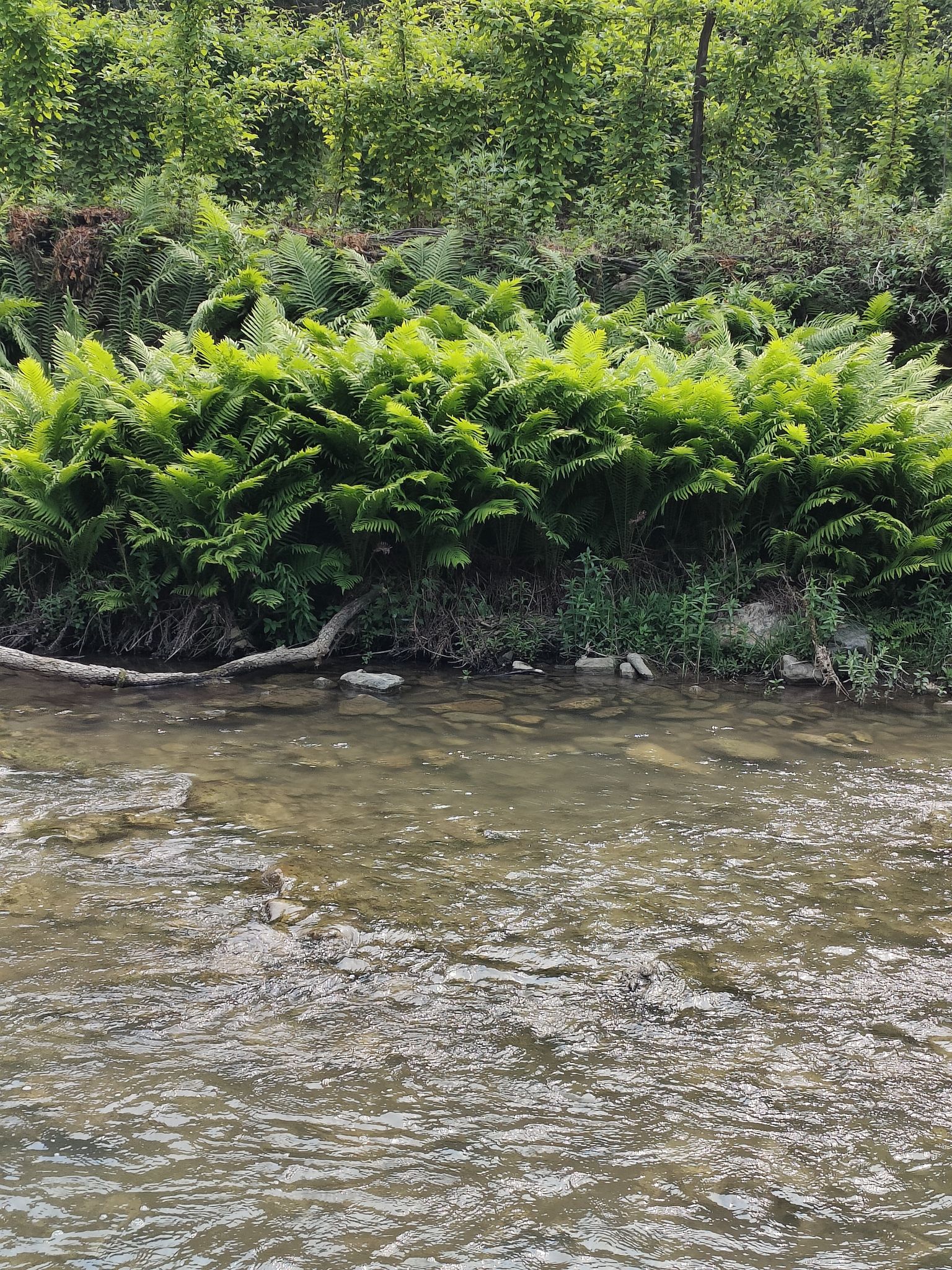中条山老龙潭大峡谷旅行图片 3