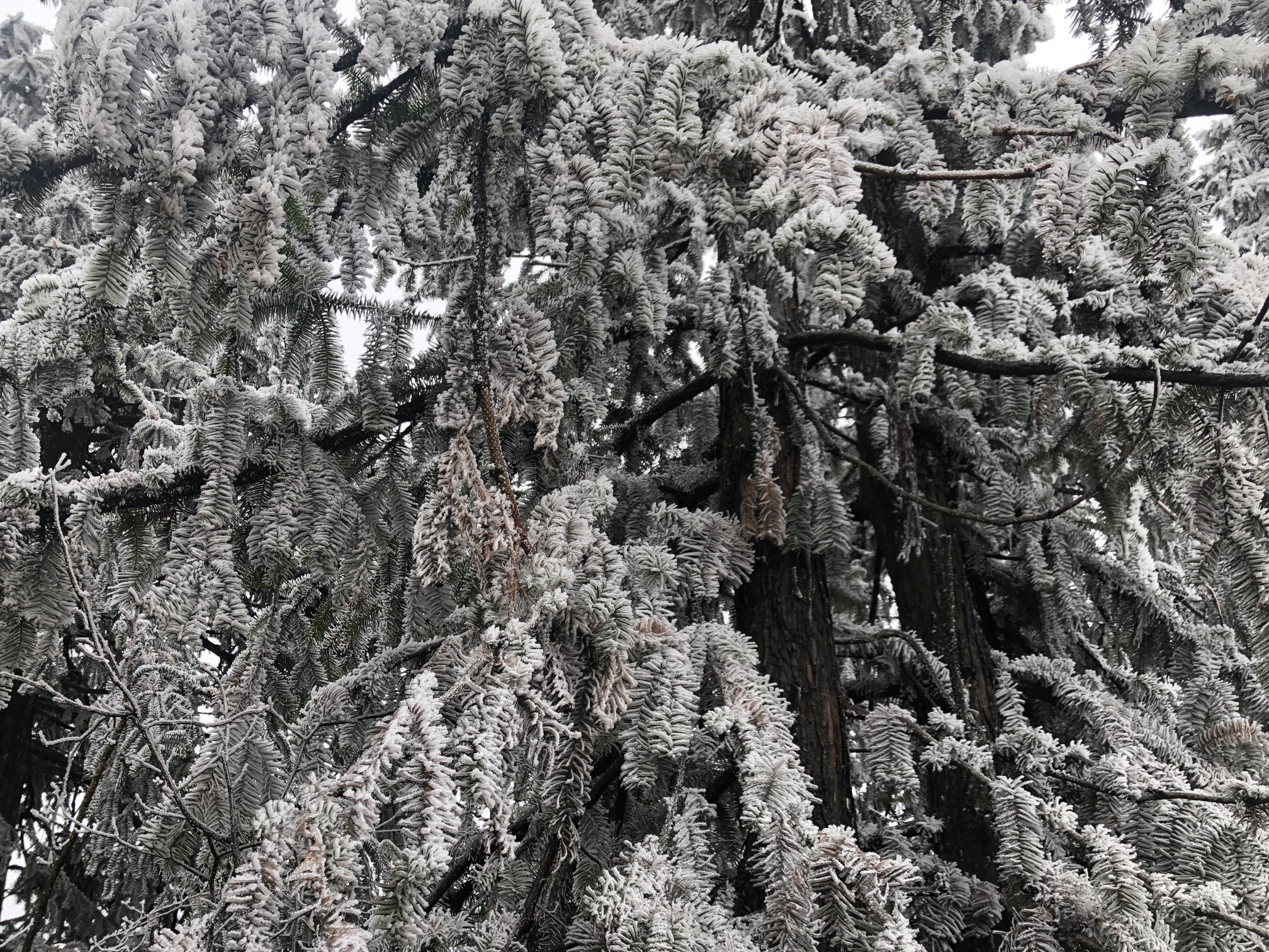 隘门界旅行图片 3