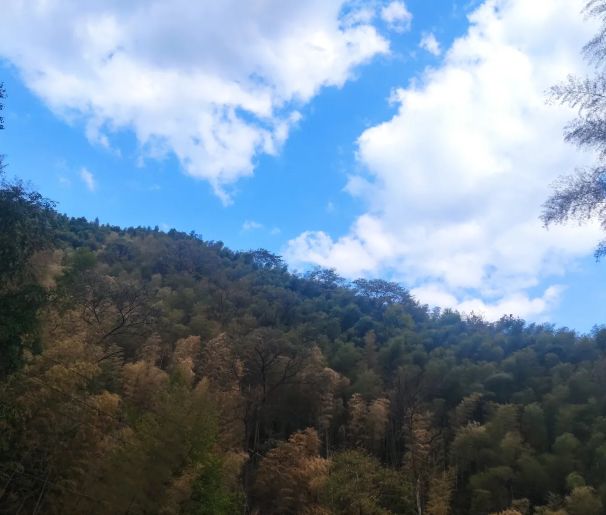 飞水涯景区旅行图片 1