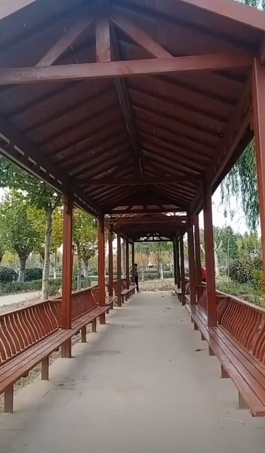 民权县奥林匹克公园旅行图片 2