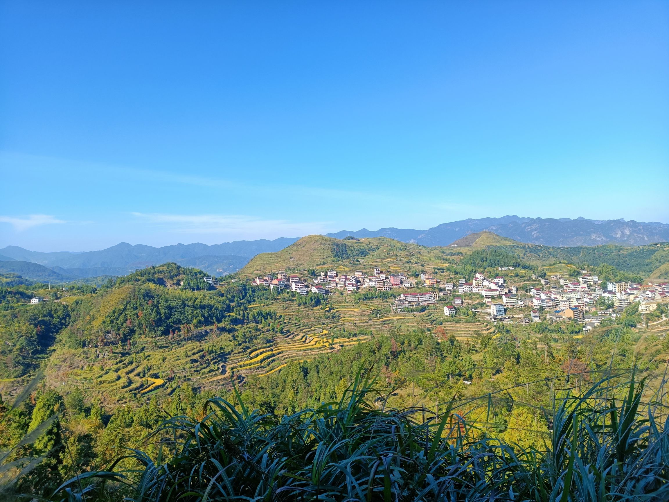 茗岙梯田旅行图片 2