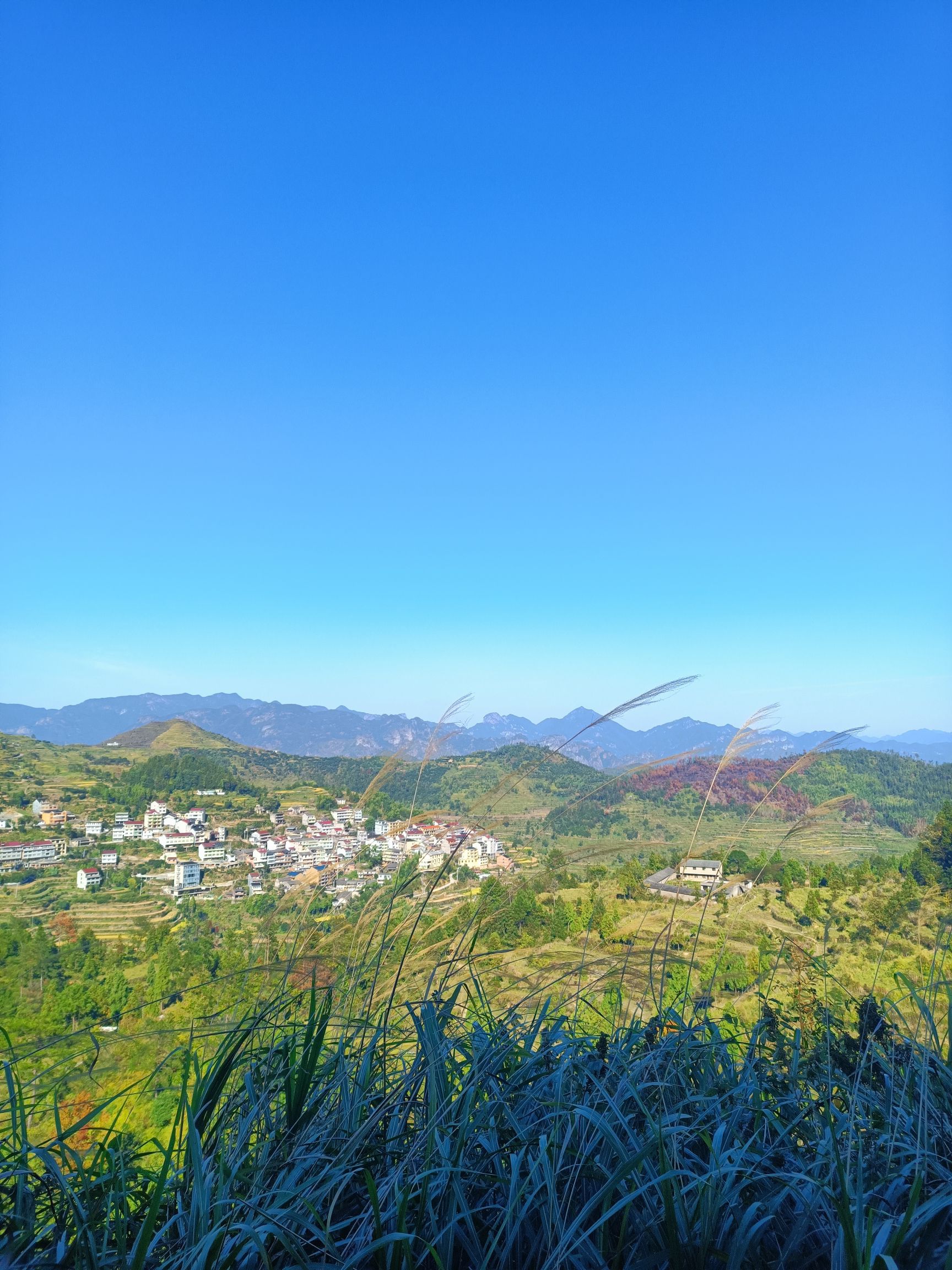 茗岙梯田旅行图片 3