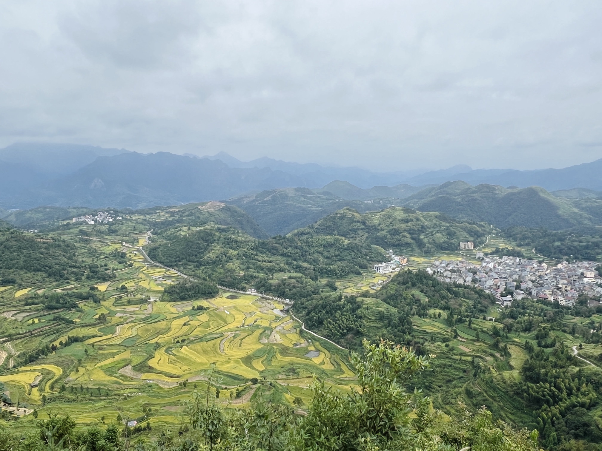 茗岙梯田旅行图片 2