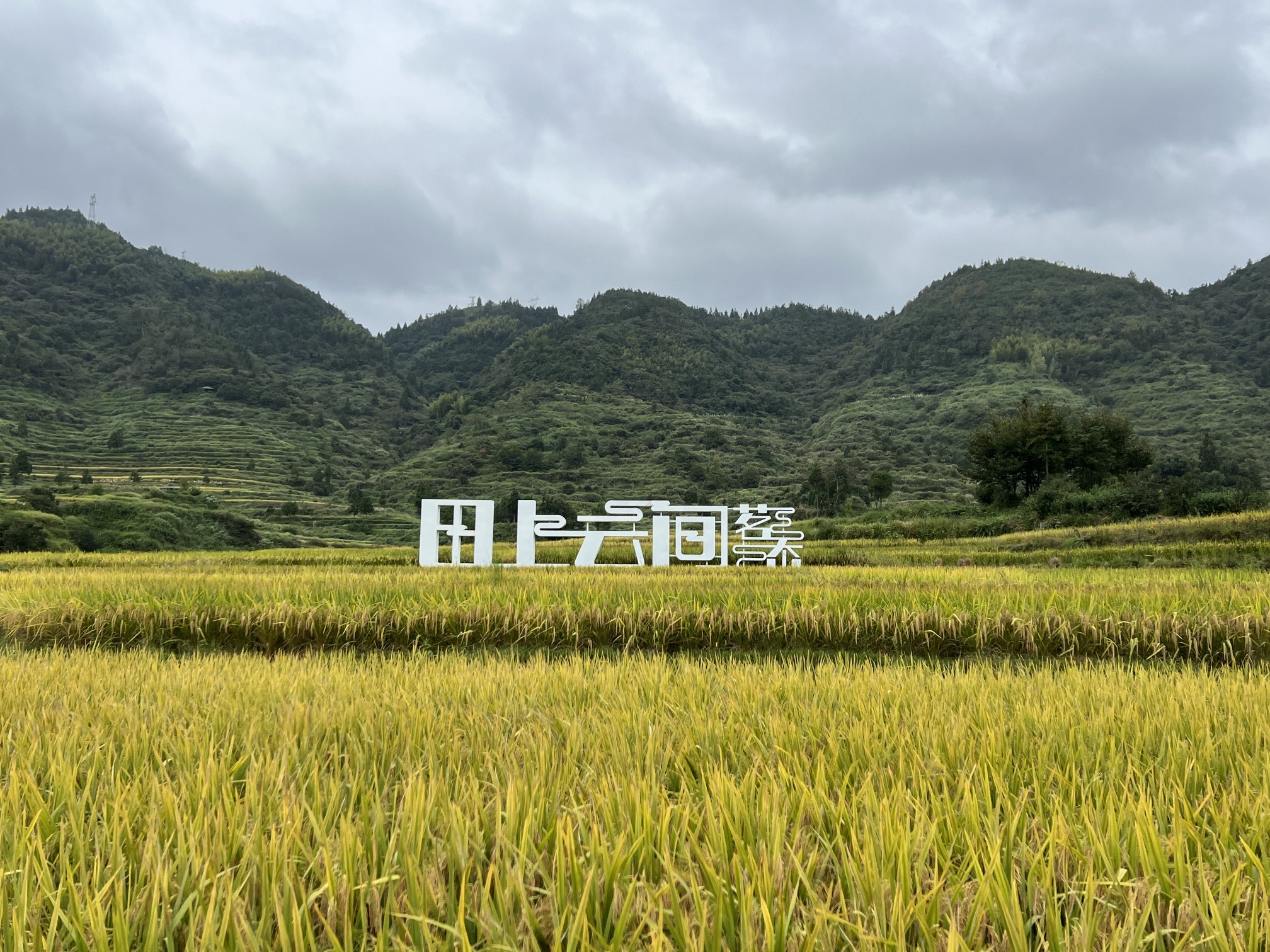 茗岙梯田旅行图片 3