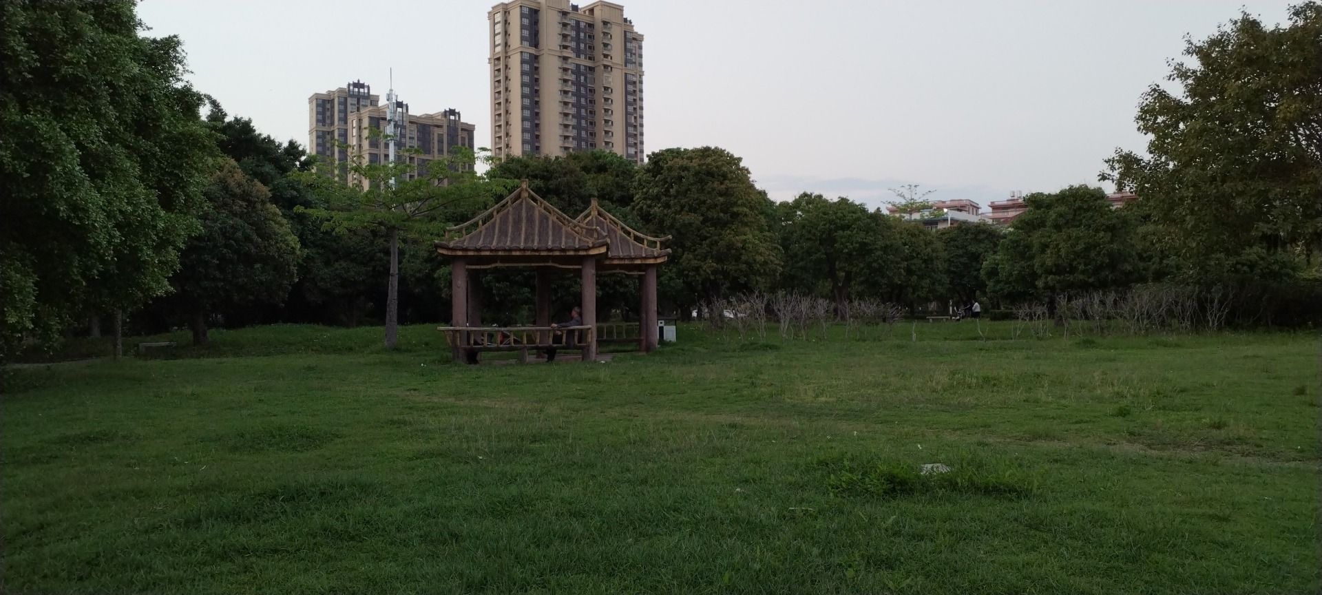 石庭公园旅行图片 2