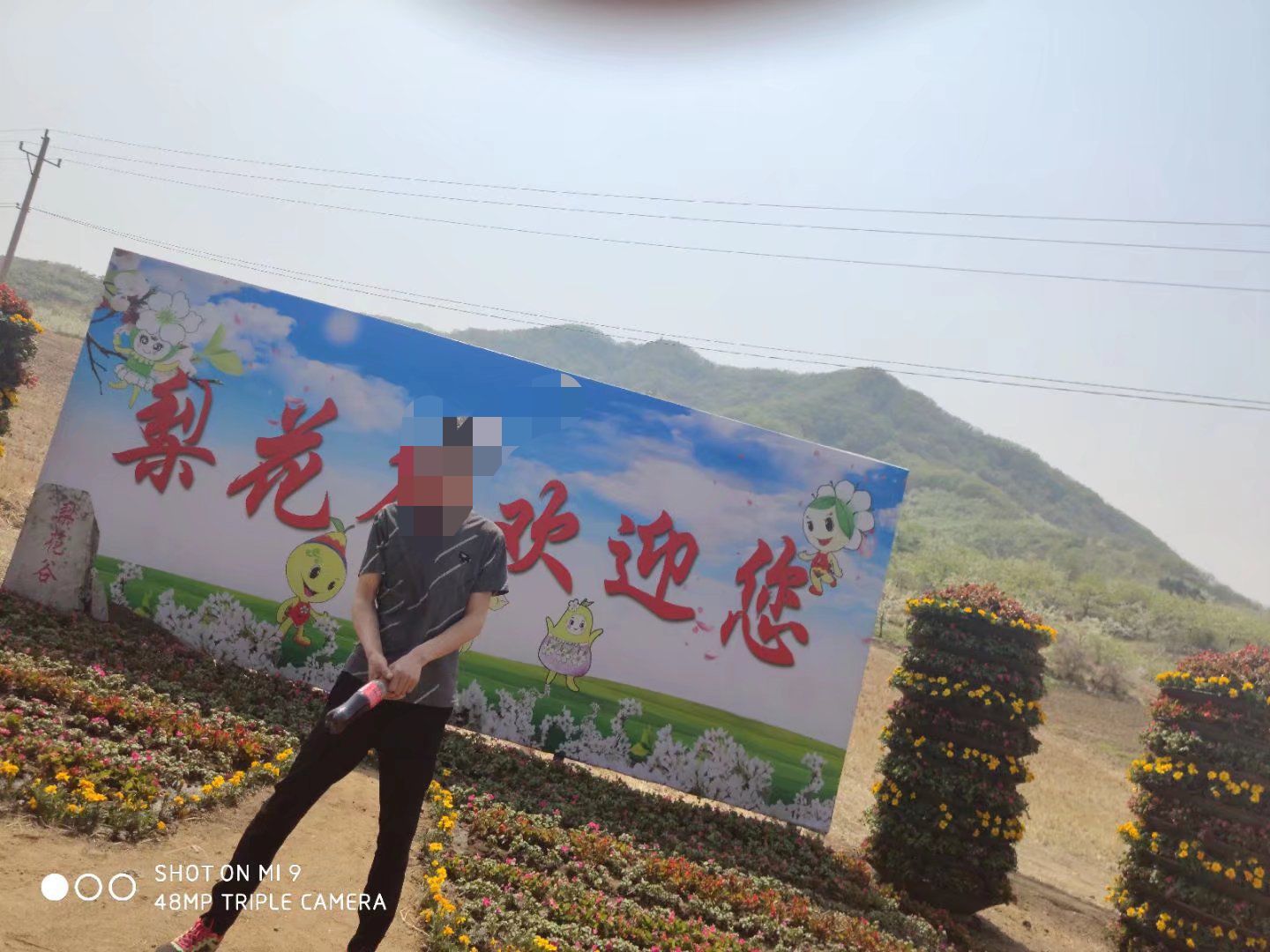 梨花谷旅行图片 3