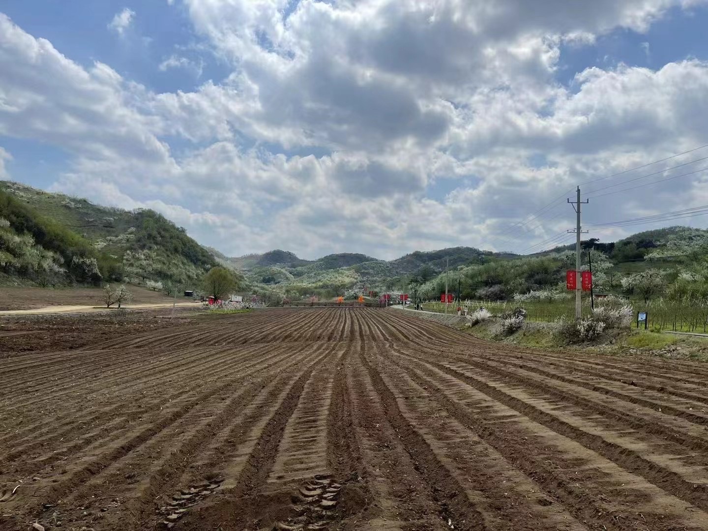 梨花谷旅行图片 2