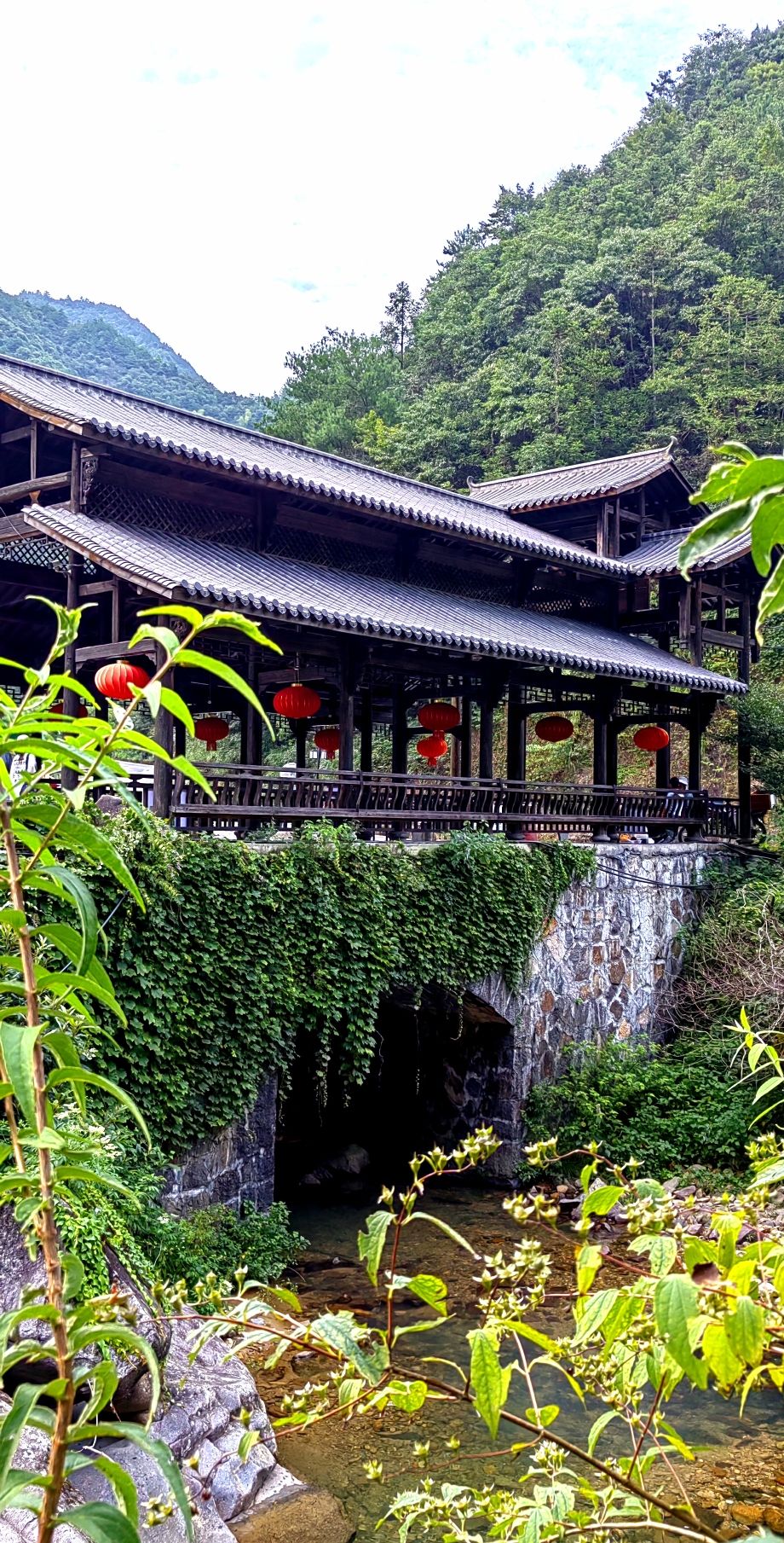 桃源七里景区旅行图片 3