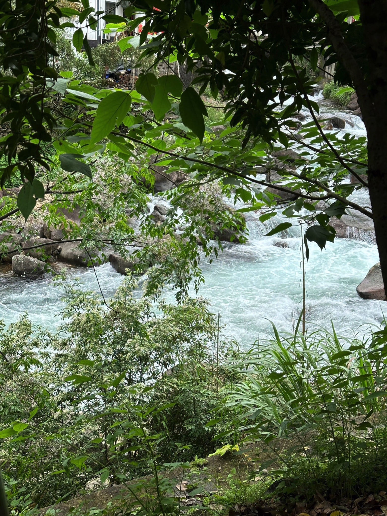 桃源七里景区旅行图片 1