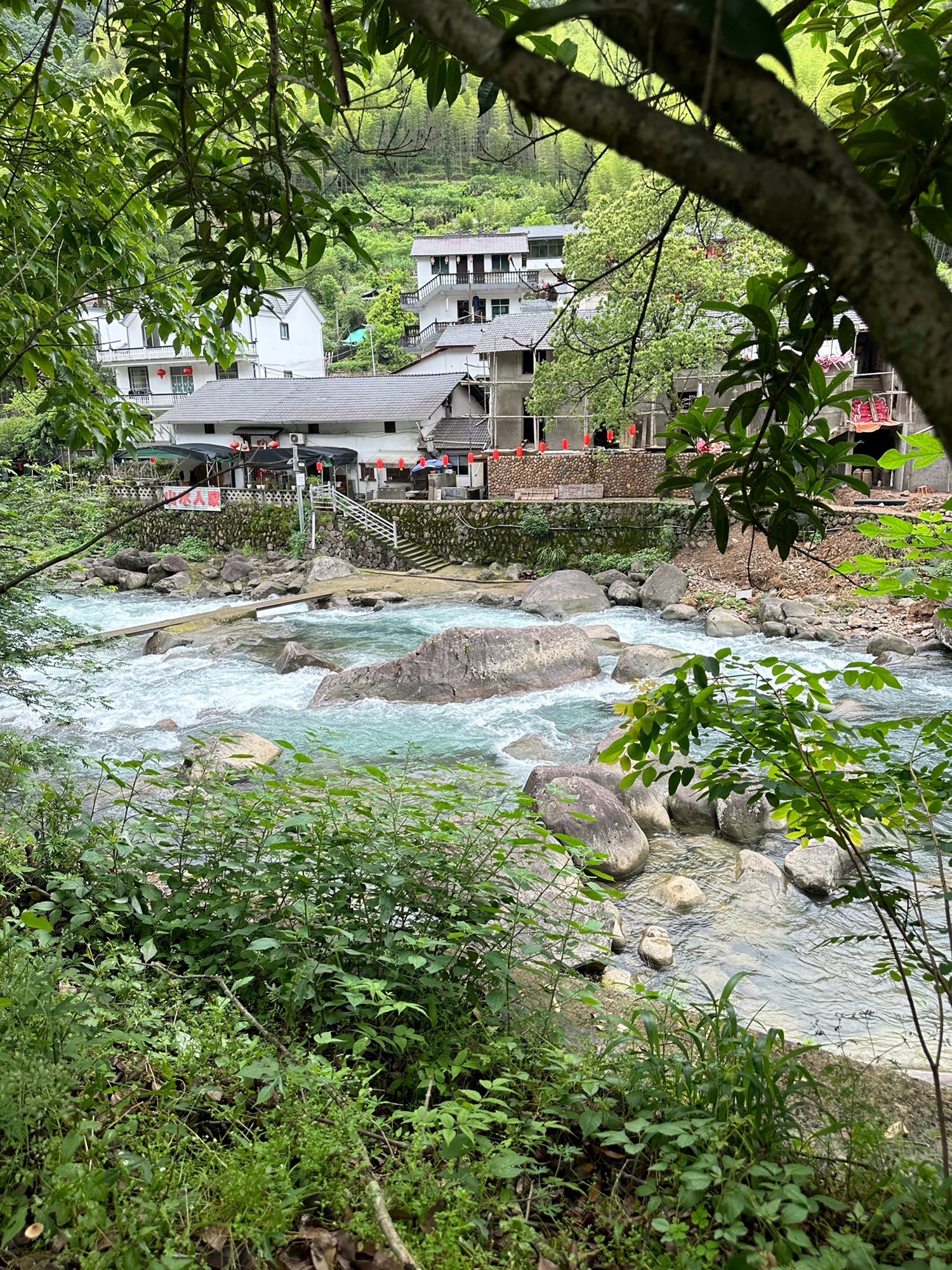桃源七里景区旅行图片 3