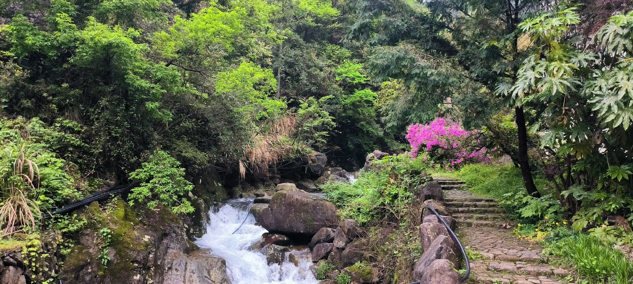 桃源七里景区旅行图片 1