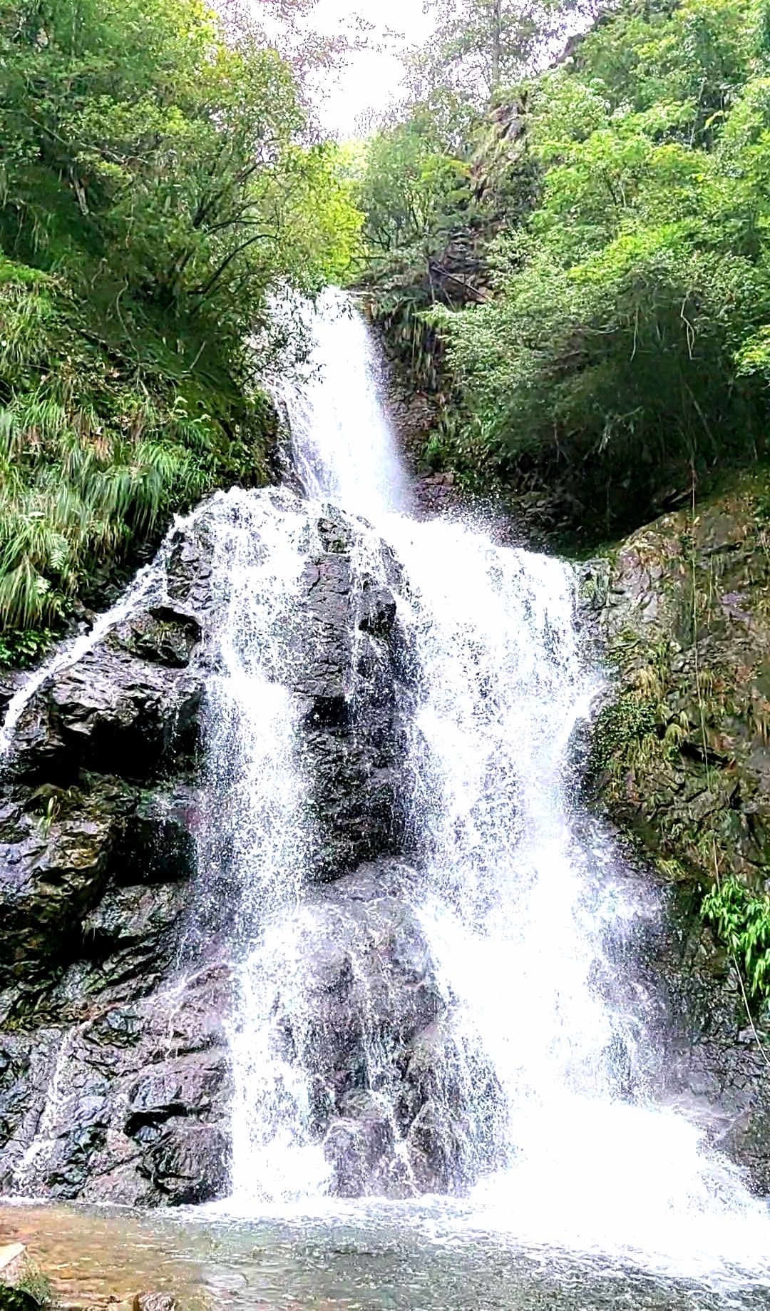 桃源七里景区旅行图片 1