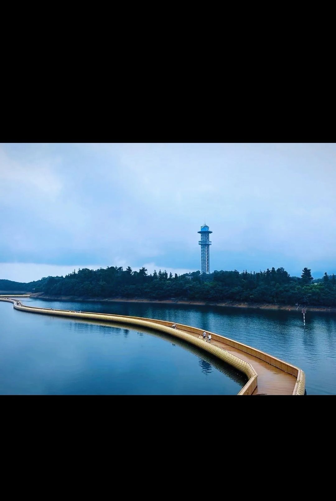 庐山花海旅行图片 3