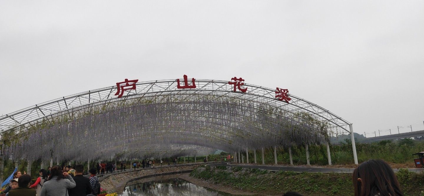 庐山花海旅行图片 3