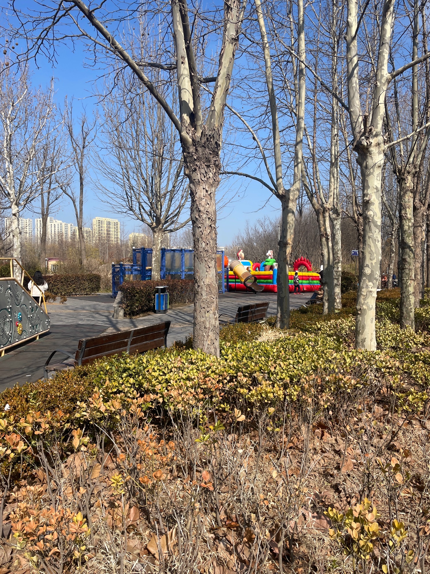 南辛安河公园旅行图片 2