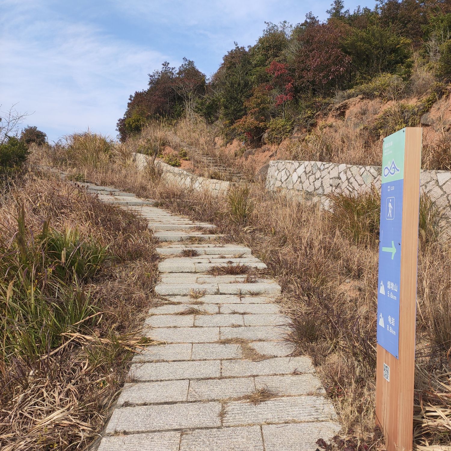 小荆山森林公园旅行图片 1