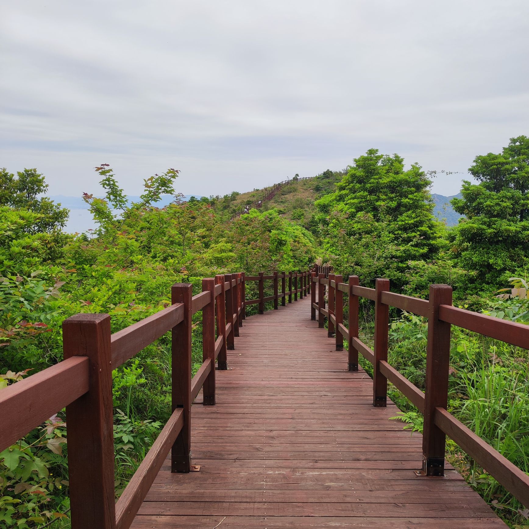 小荆山森林公园旅行图片 2