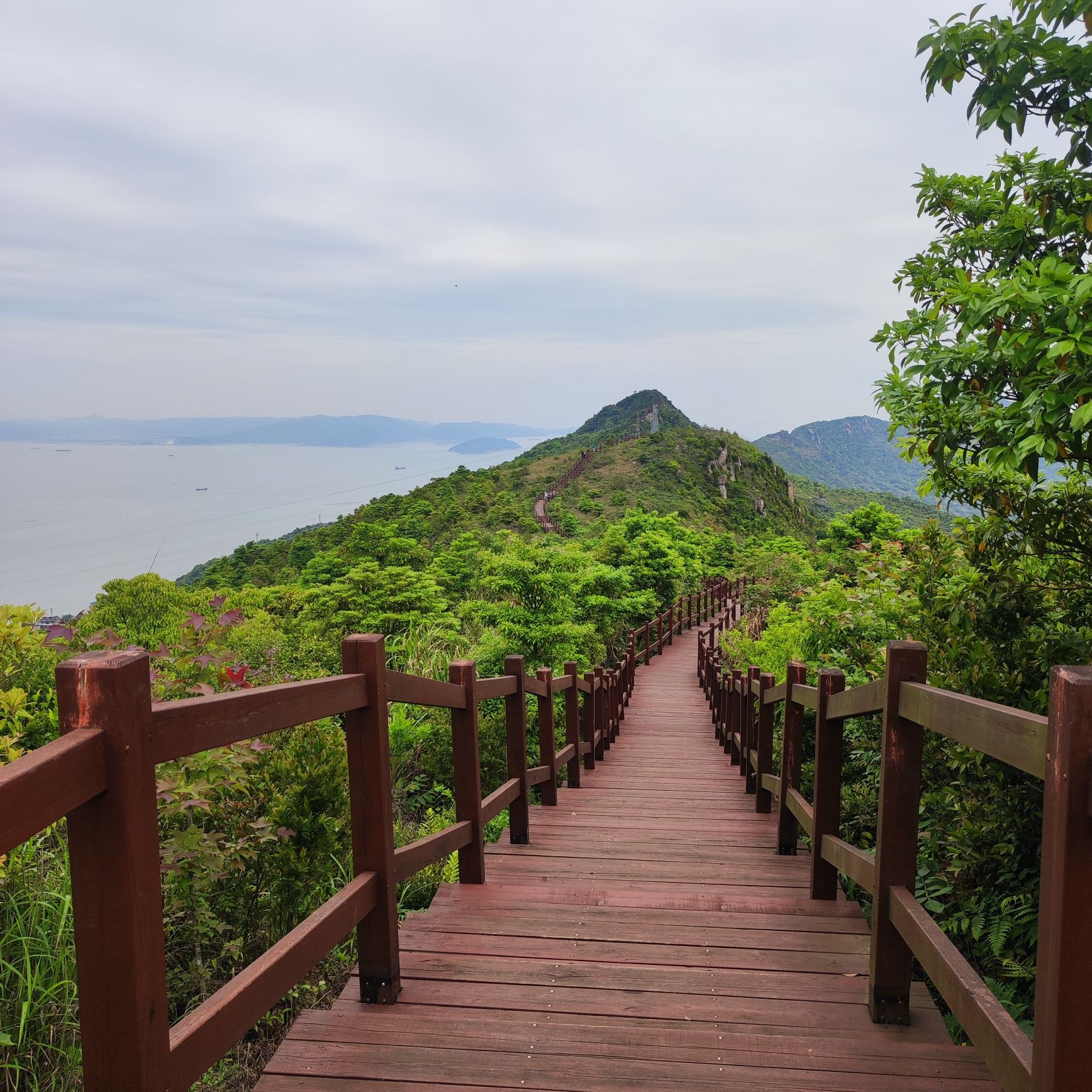 小荆山森林公园旅行图片 1