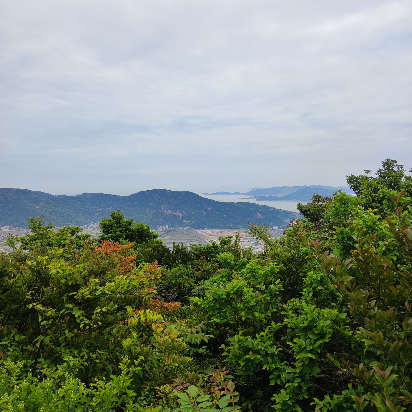 小荆山森林公园旅行图片 3