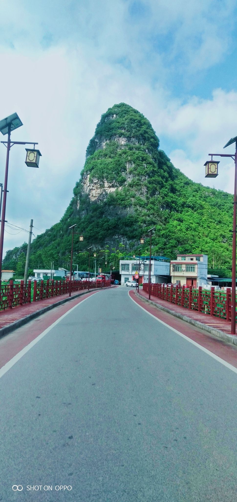 百朋荷苑景区旅行图片 2