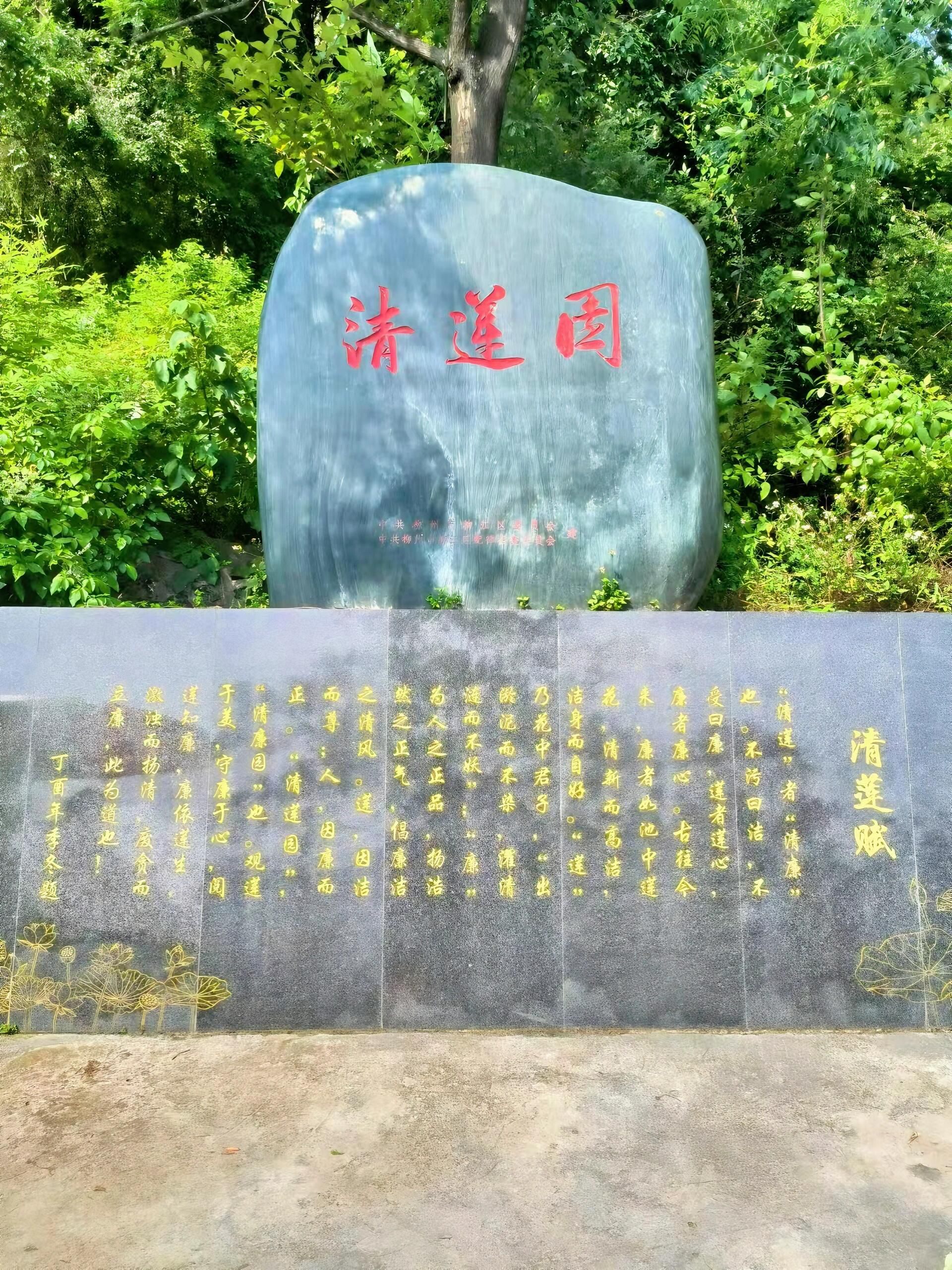 百朋荷苑景区旅行图片 3