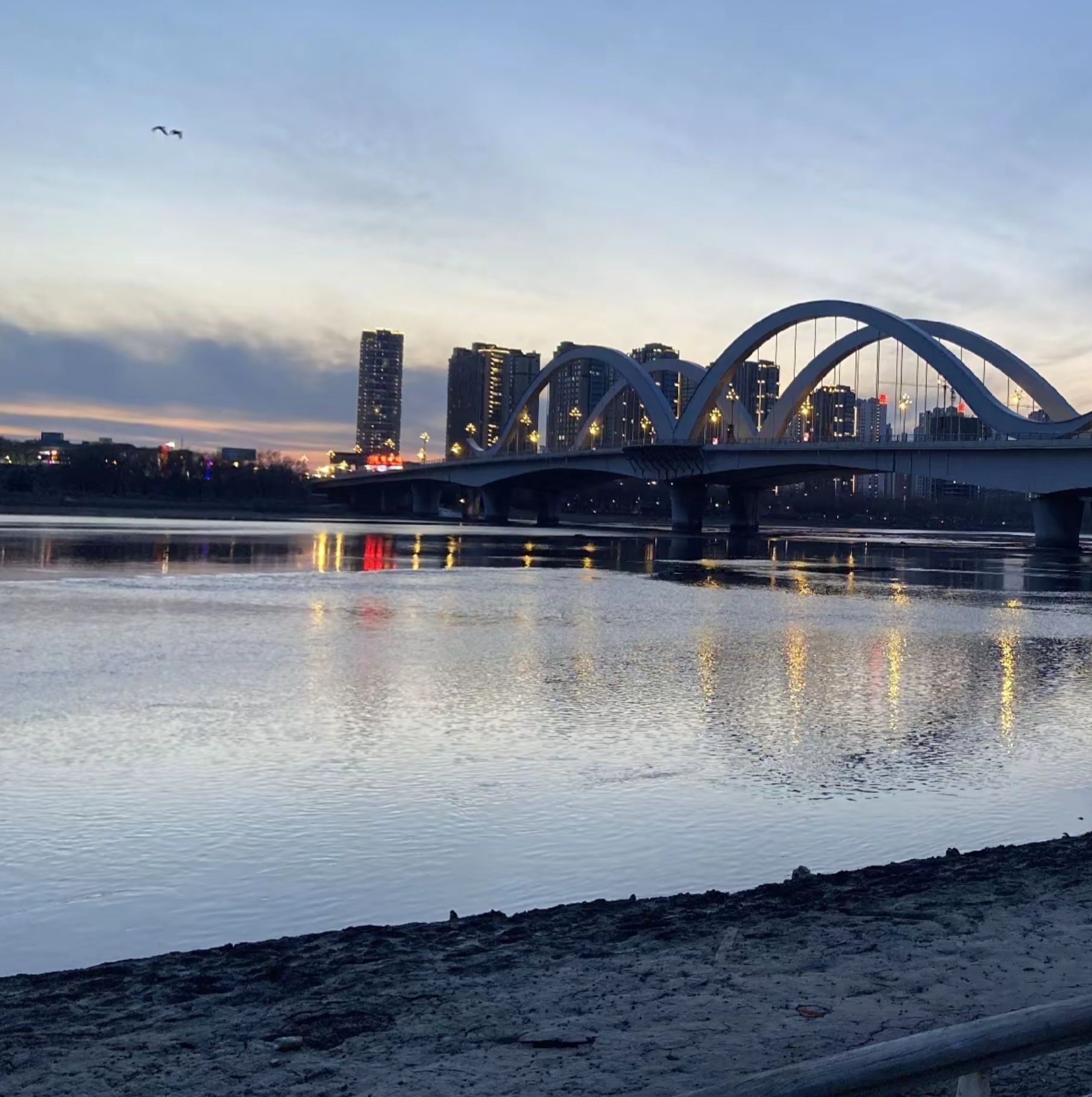 辽阳河东广场旅行图片 3